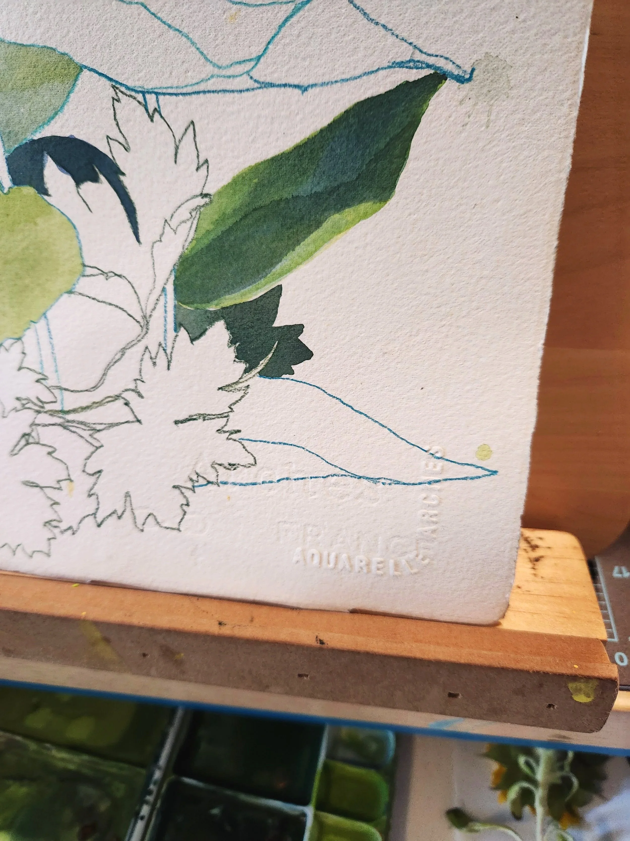 Arches is Aquarelle Pressed Textured Paper with Watermark seal