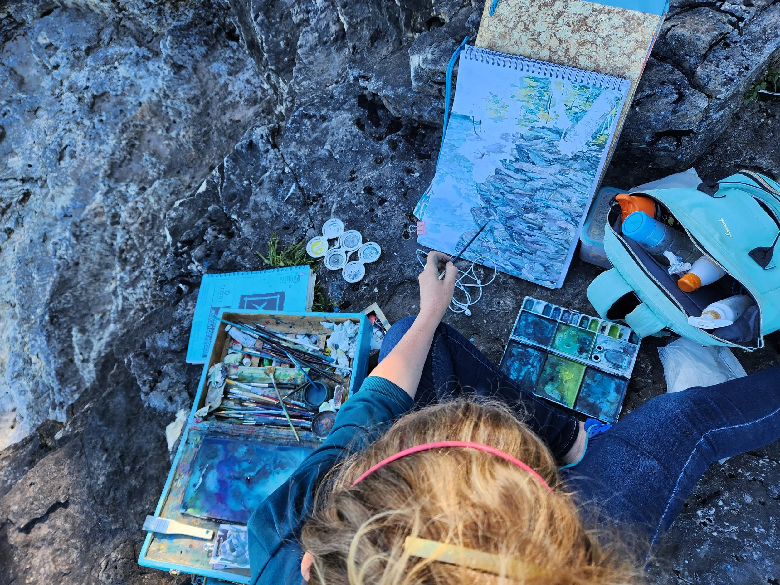 Plein Air Painting at Cave Point Park 2023-24 (Not a Cave)