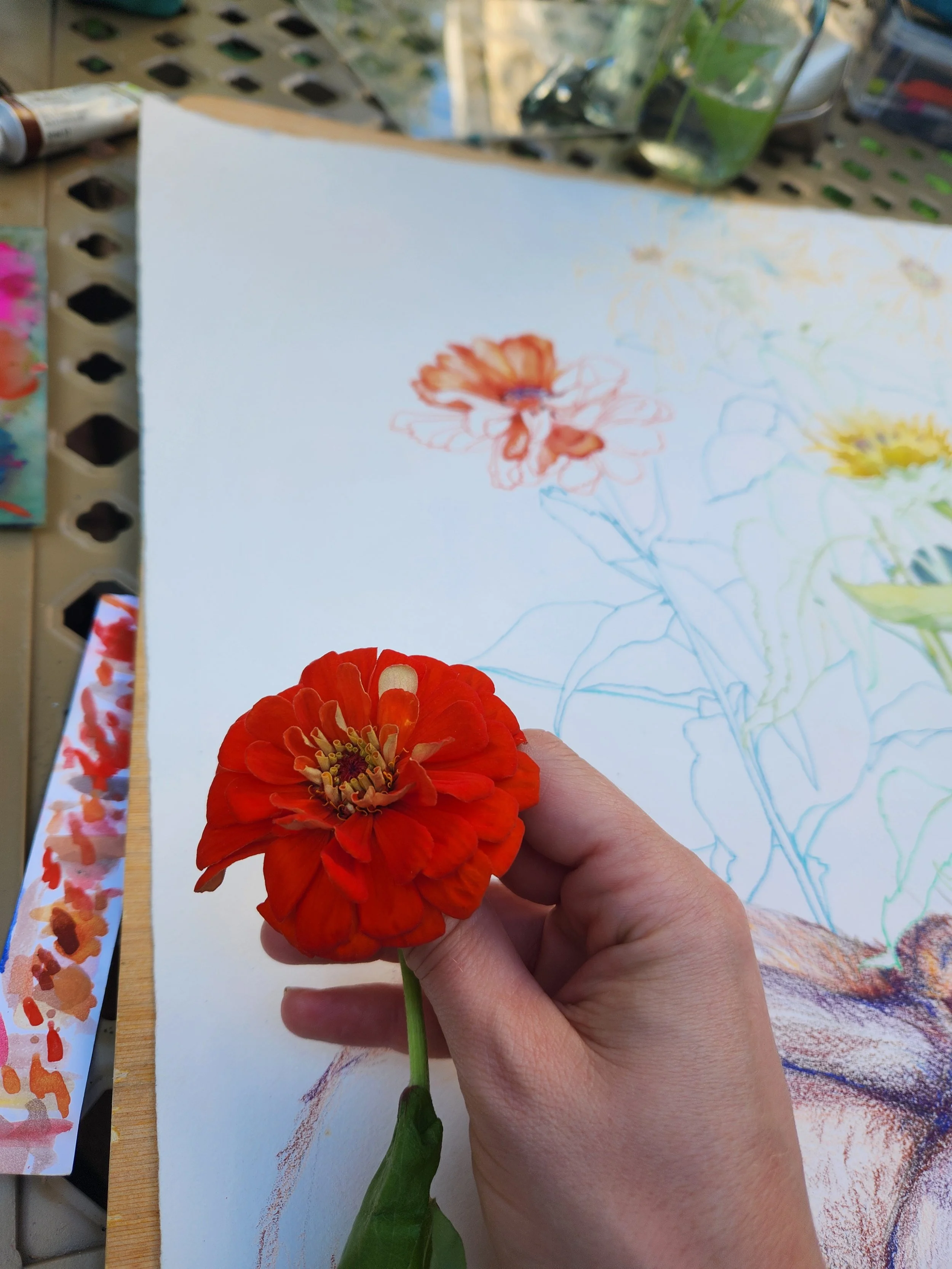 Summer Cosmos Flower Painting 2024-25