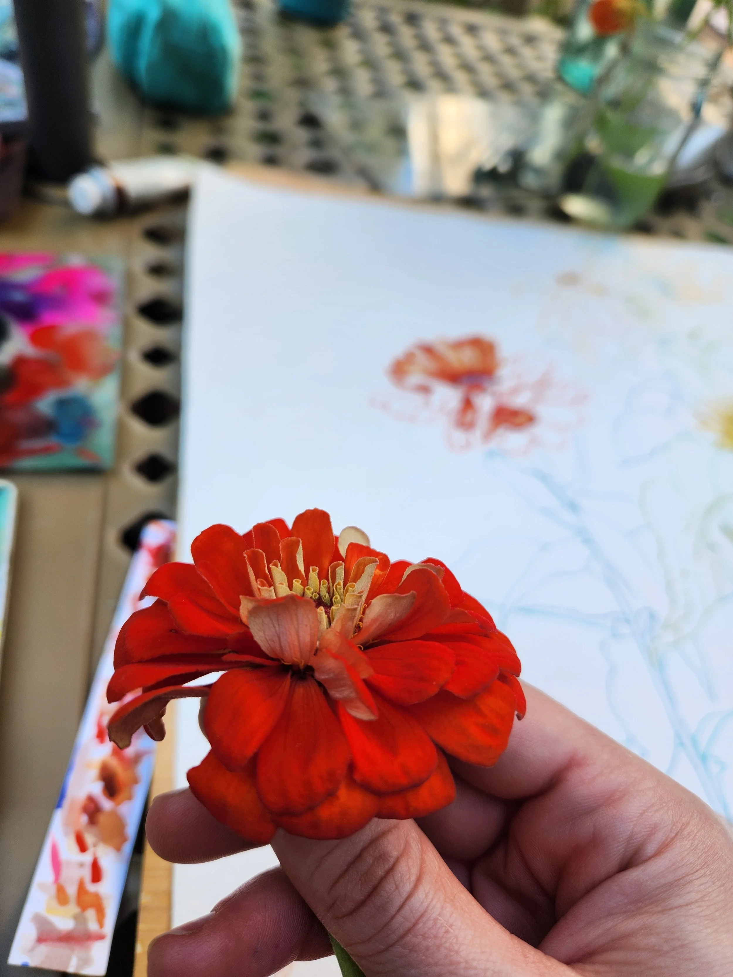 Summer Cosmos Flower Painting 2024-25