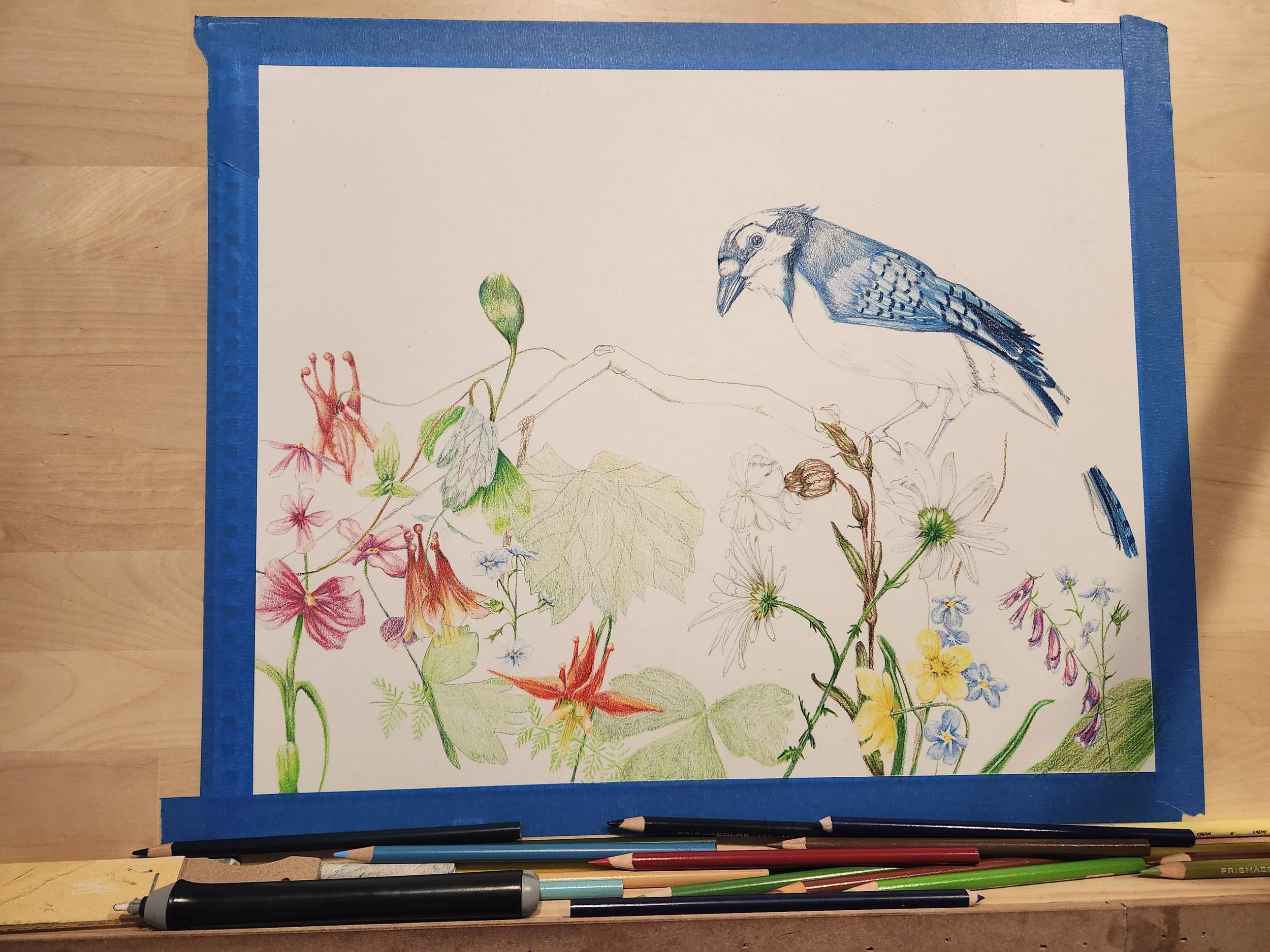 Preliminary Pencil sketching 2024-25