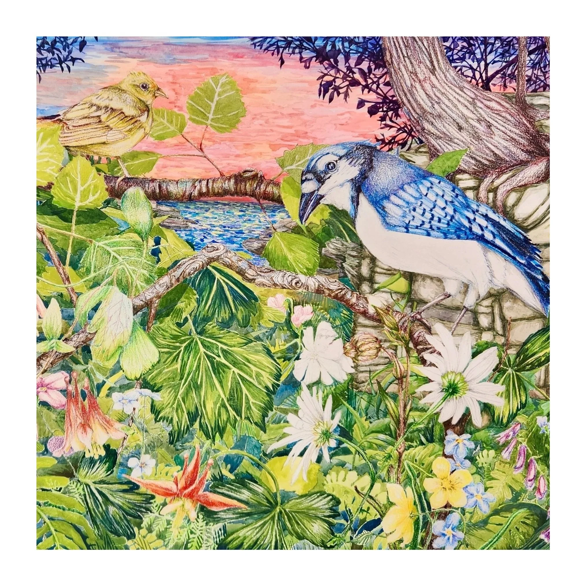 2023-2026 Naturalist Artworks