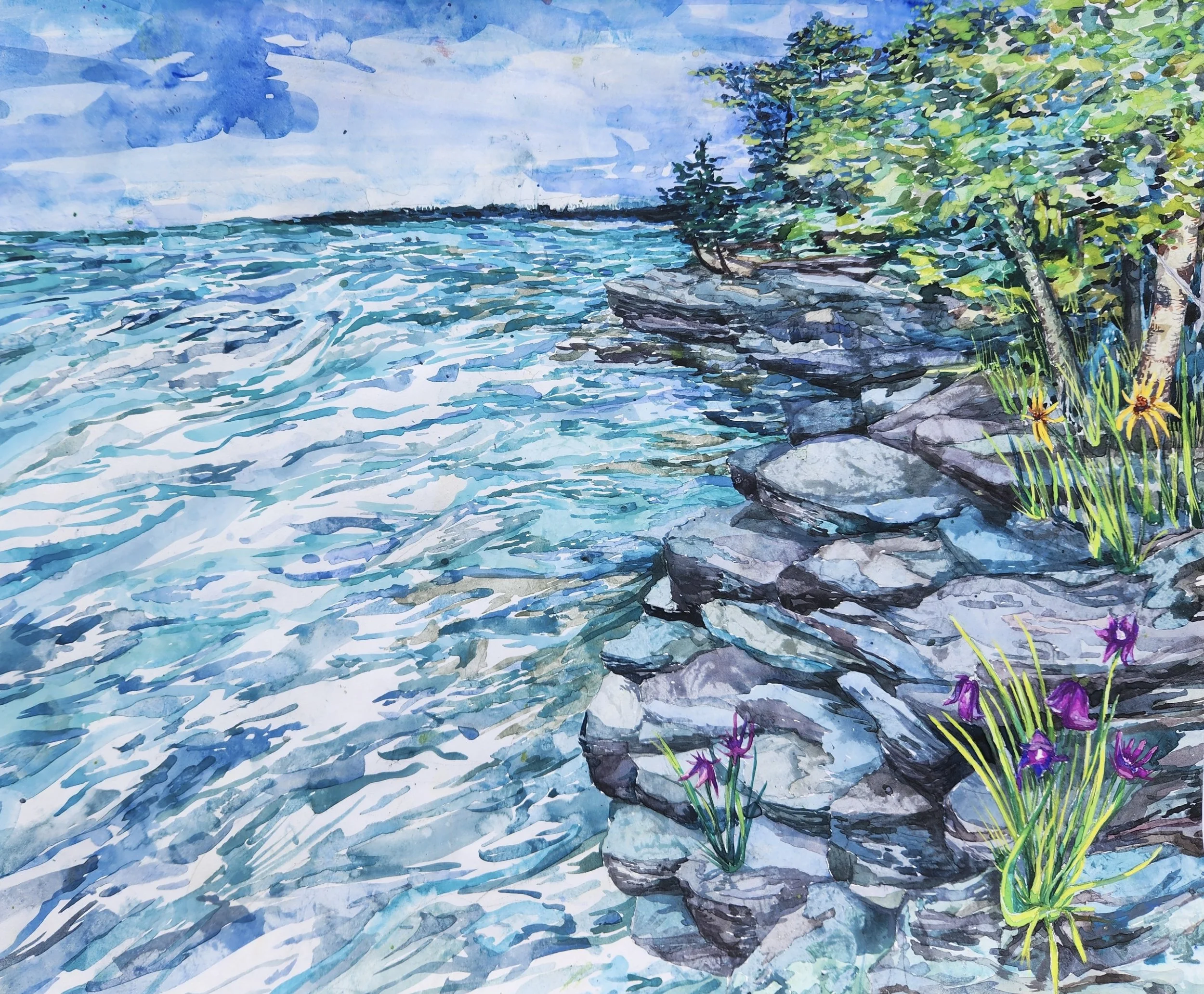 20240819_160916 (1).jpg