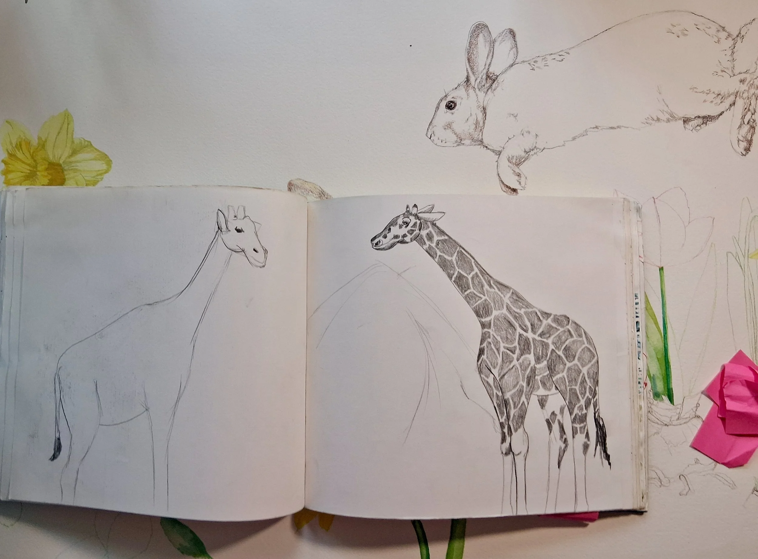 My Sketchbooks and Sketches of Animals