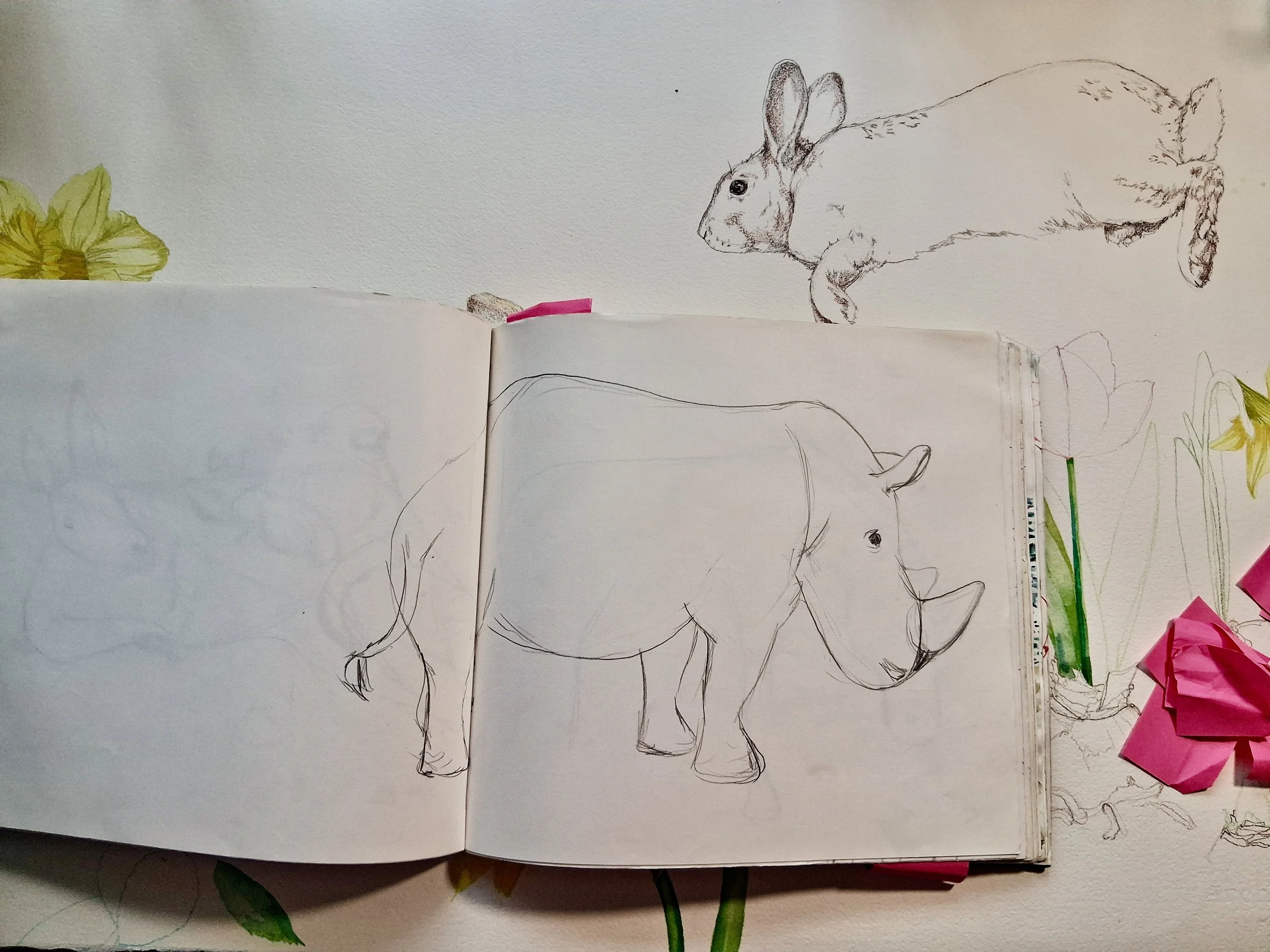 My Sketchbooks and Sketches of Animals