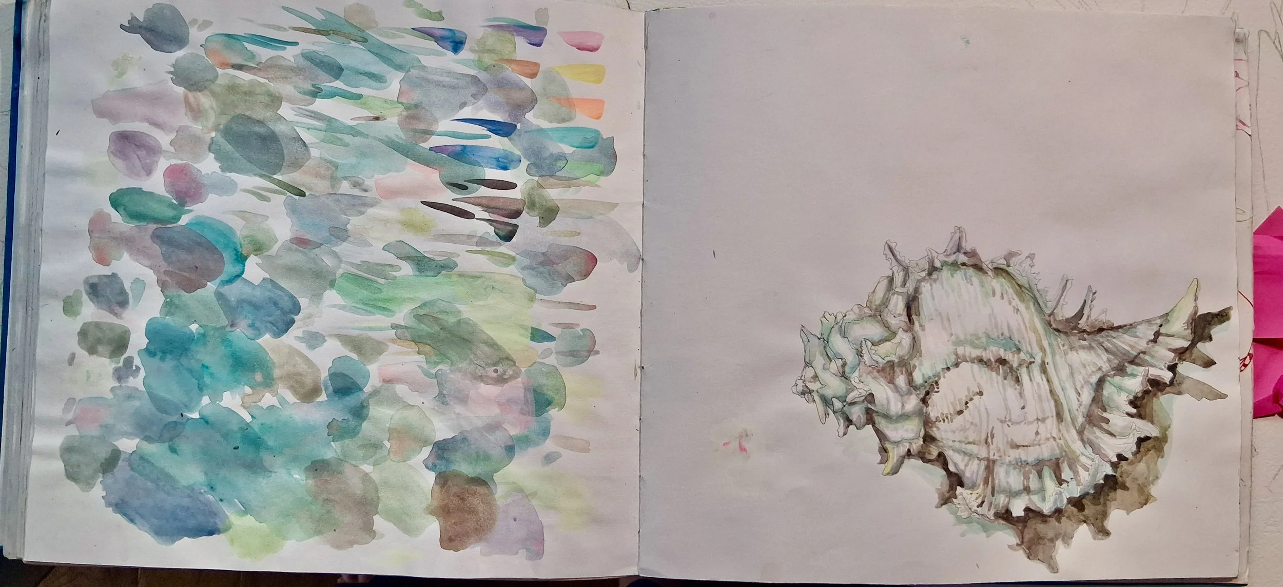 My Sketchbooks and Sketches of Animals