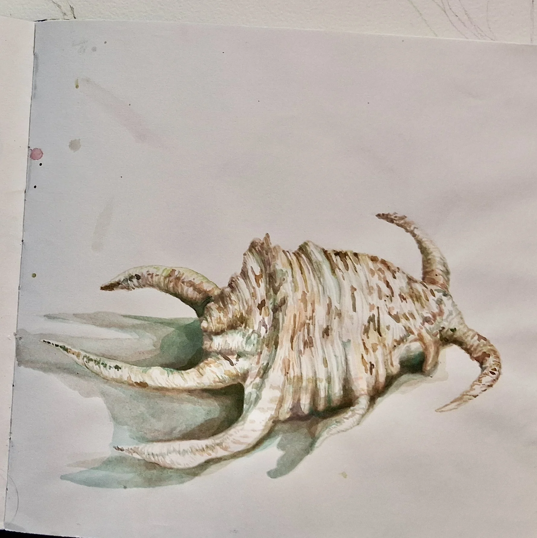 My Sketchbooks and Sketches of Animals