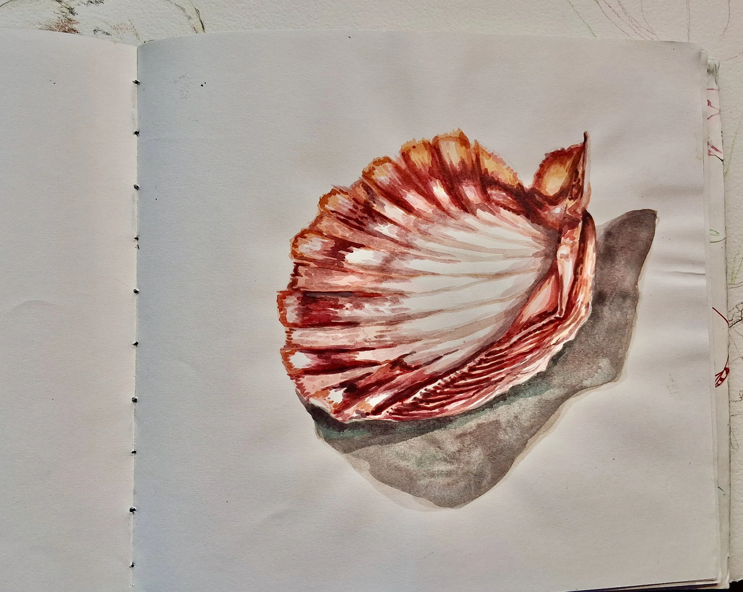 My Sketchbooks and Sketches of Animals