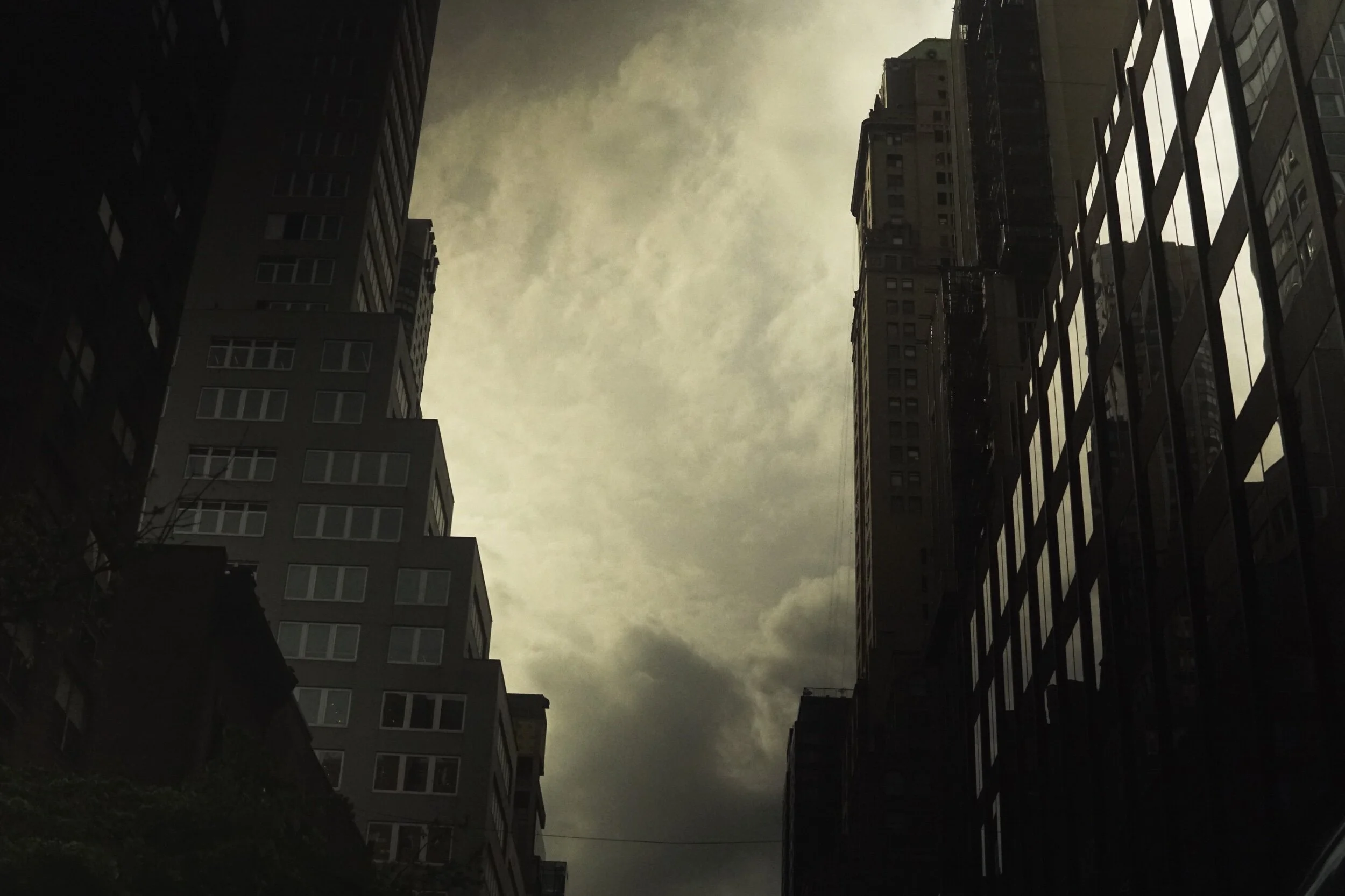 DSC08444.jpeg