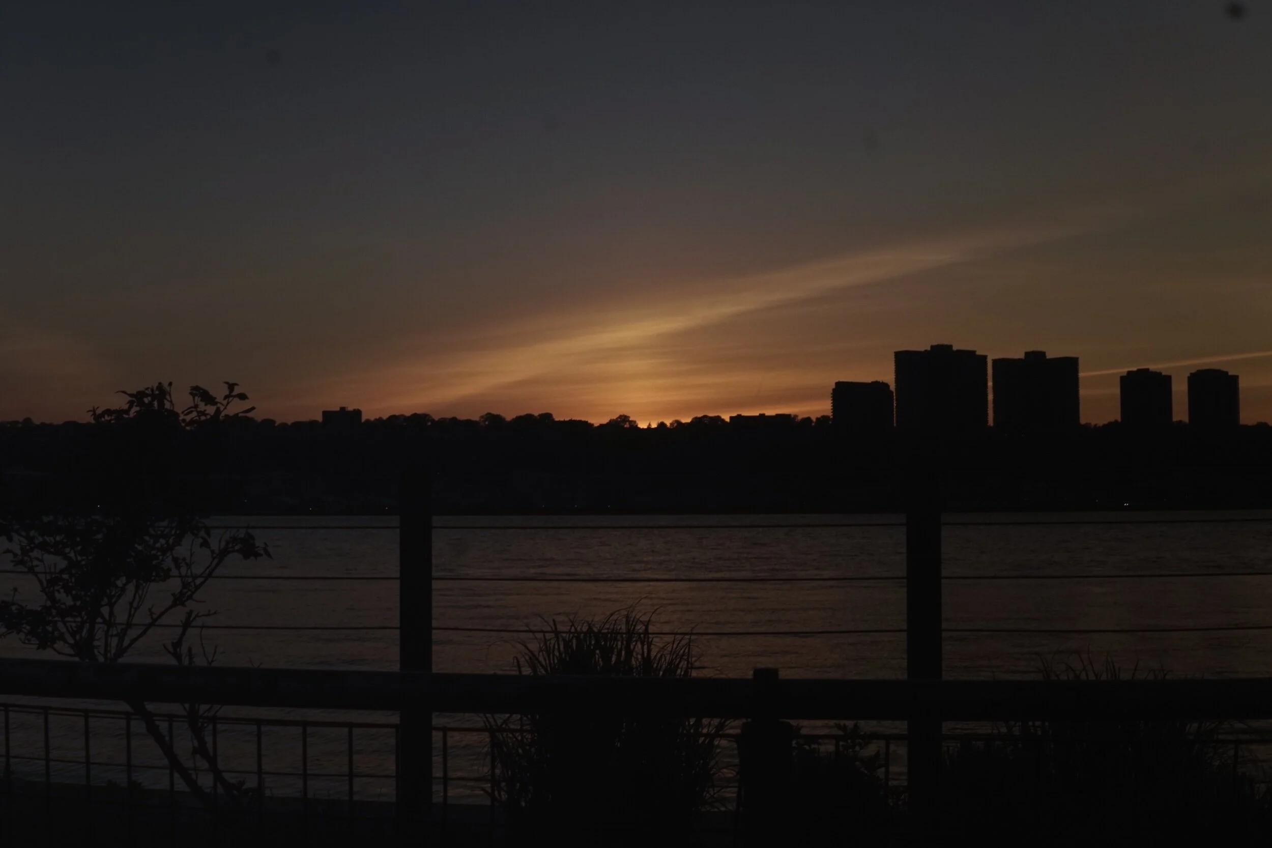 DSC08192.jpeg