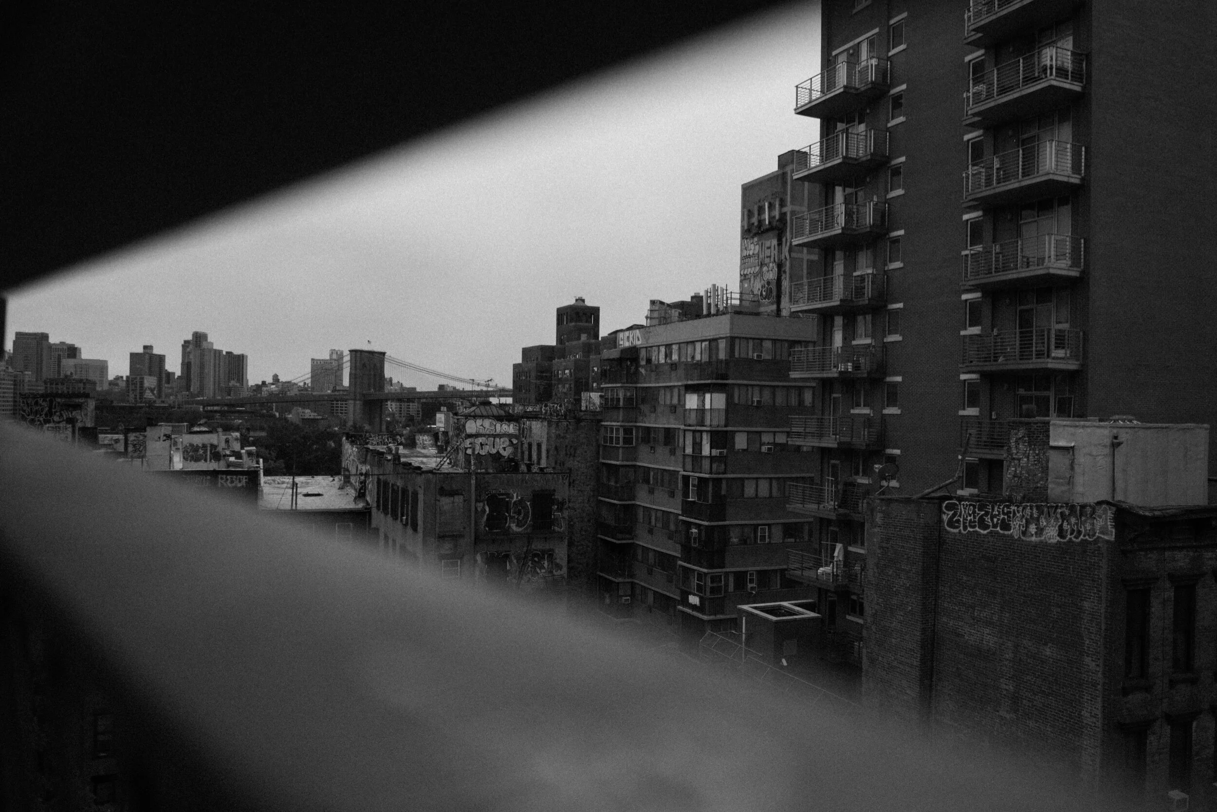 DSC00800.jpeg