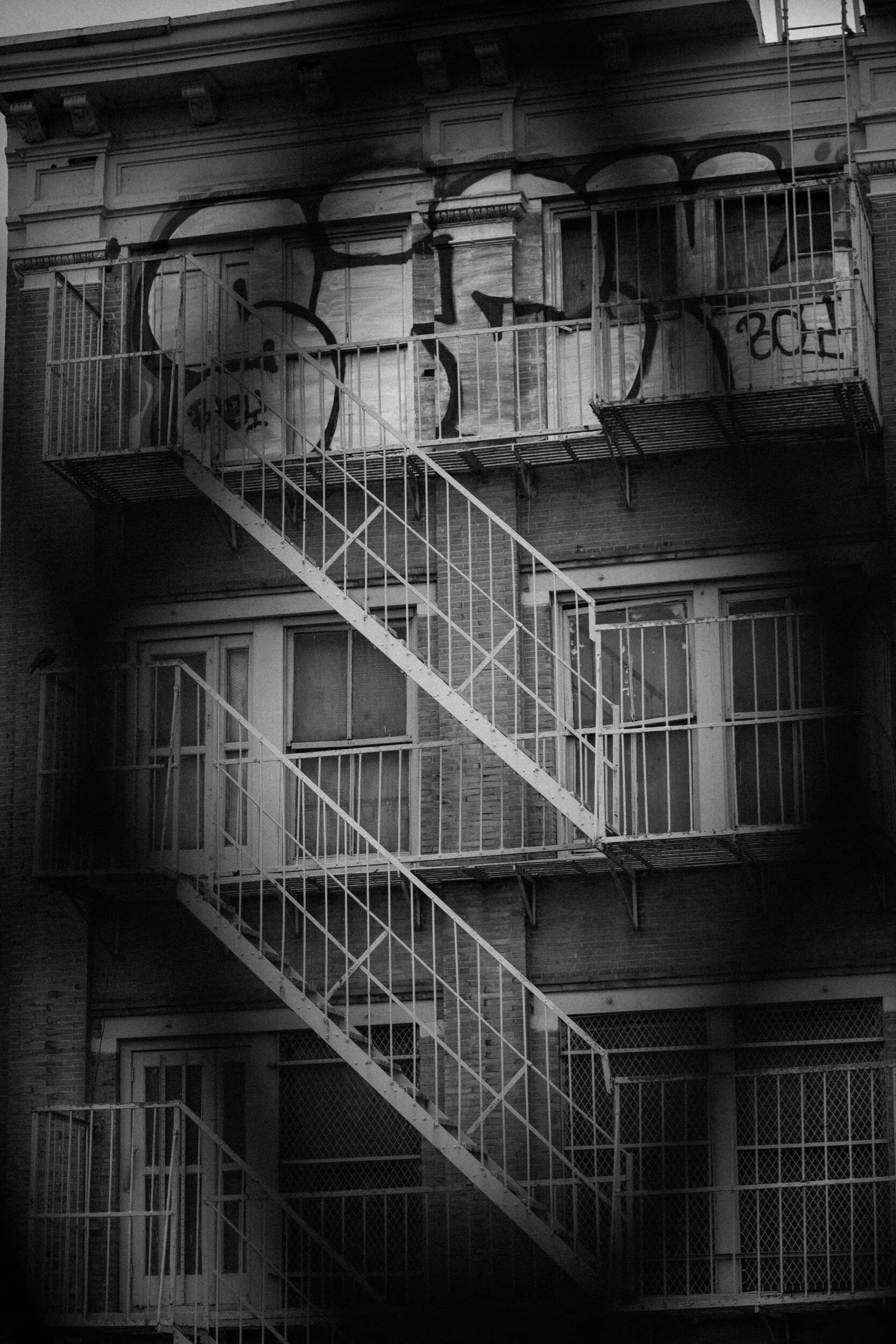 DSC00771.jpeg