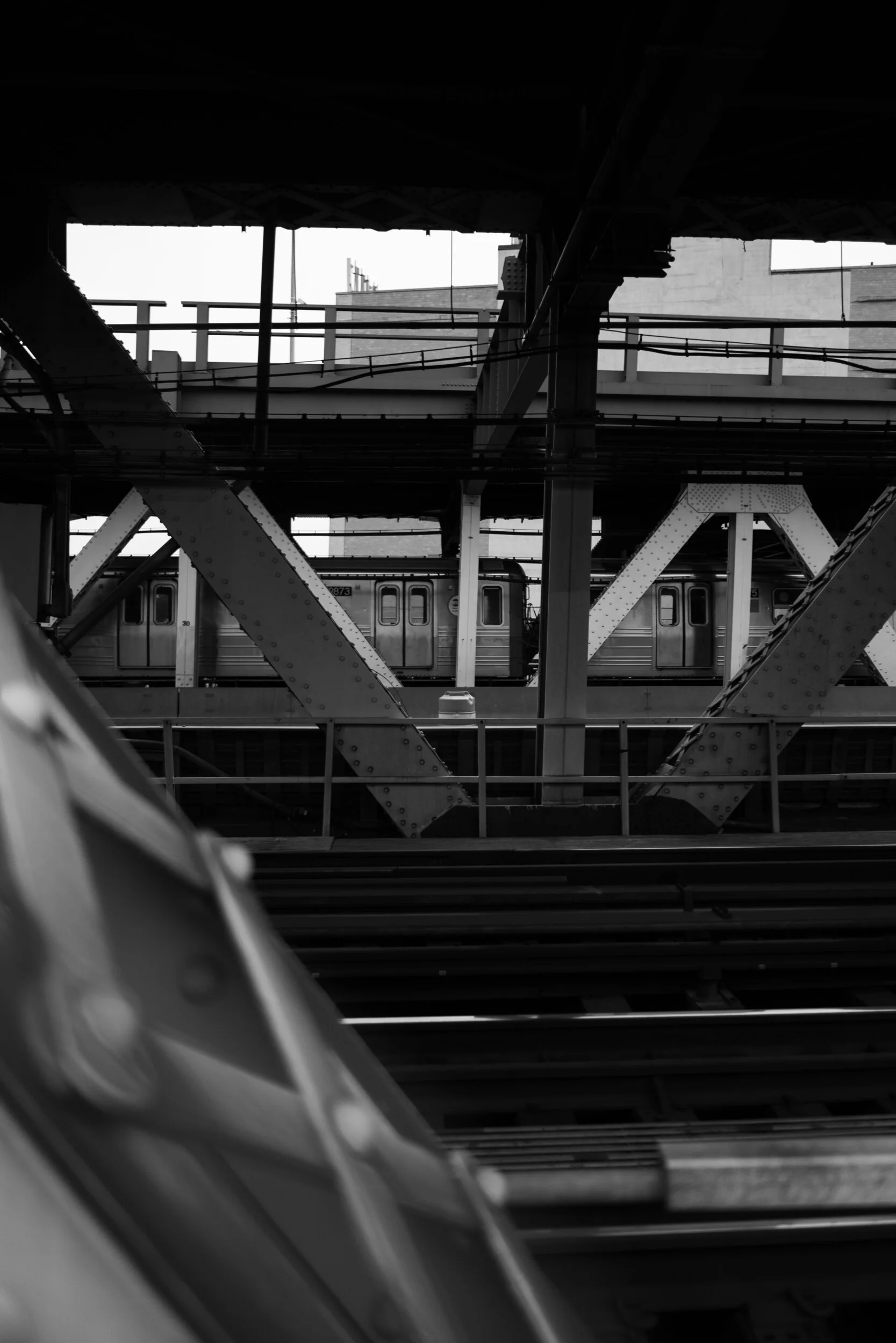 DSC00824.jpeg