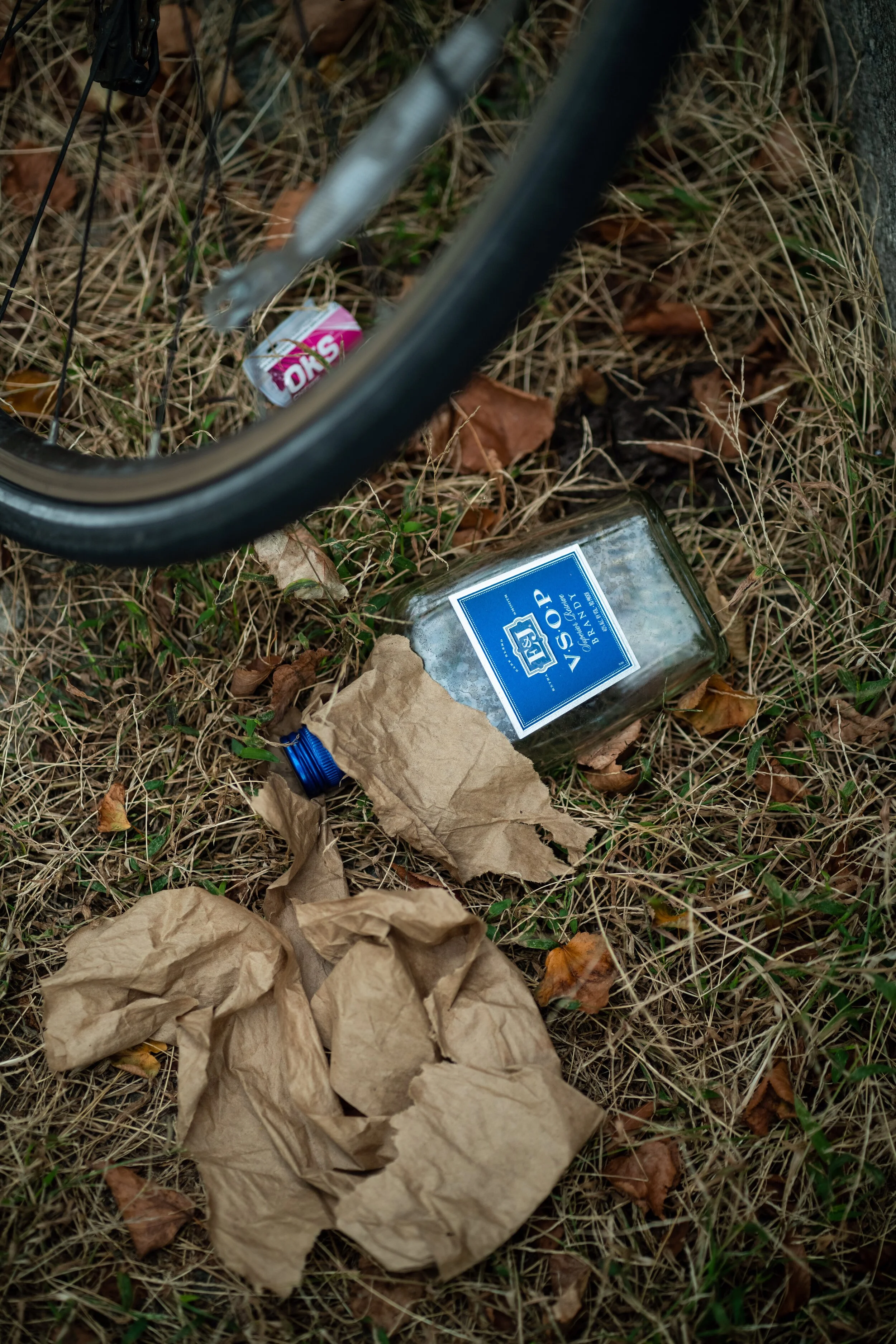 DSC00873.jpeg