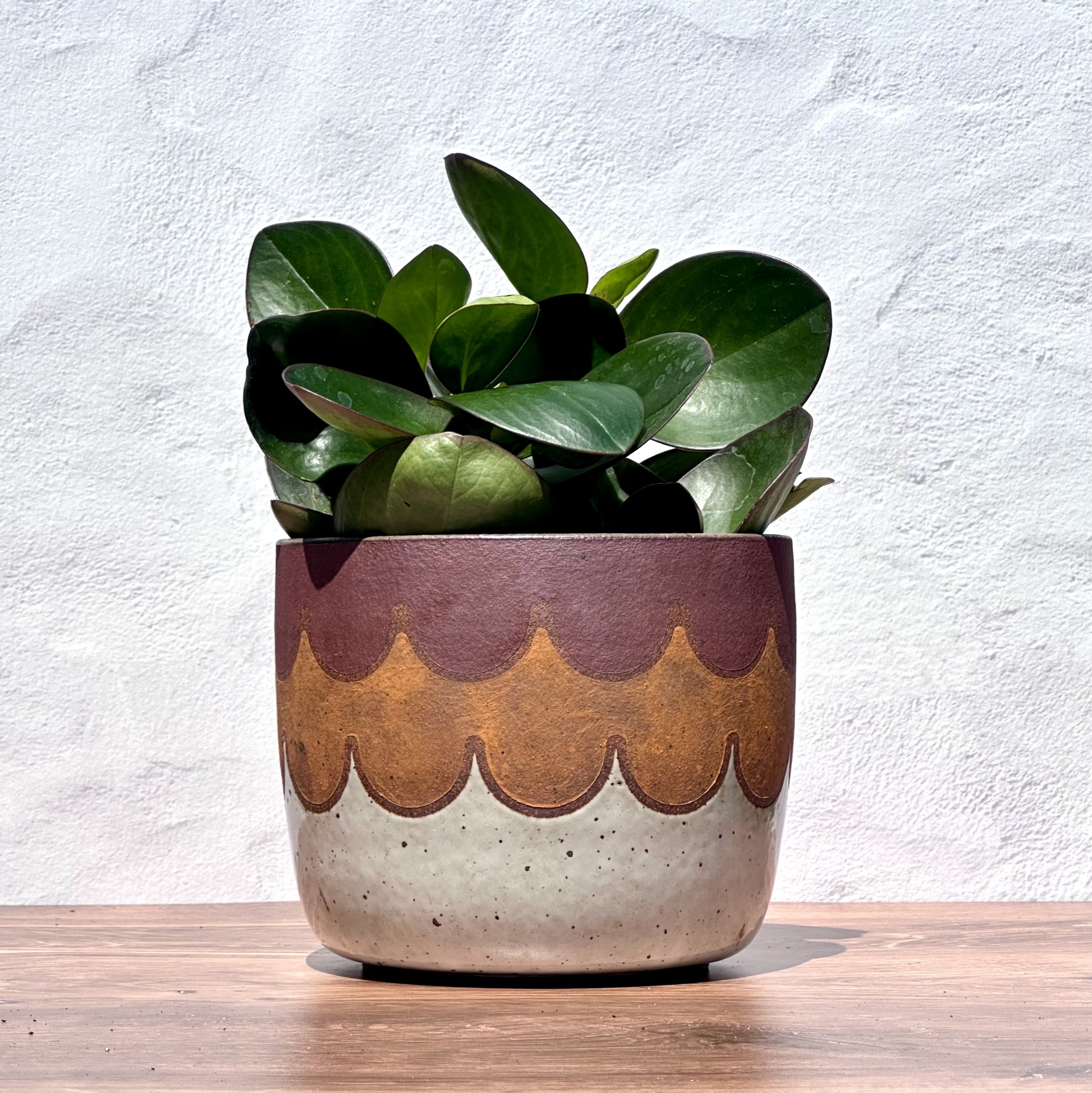 Flower Scallop Large Planter