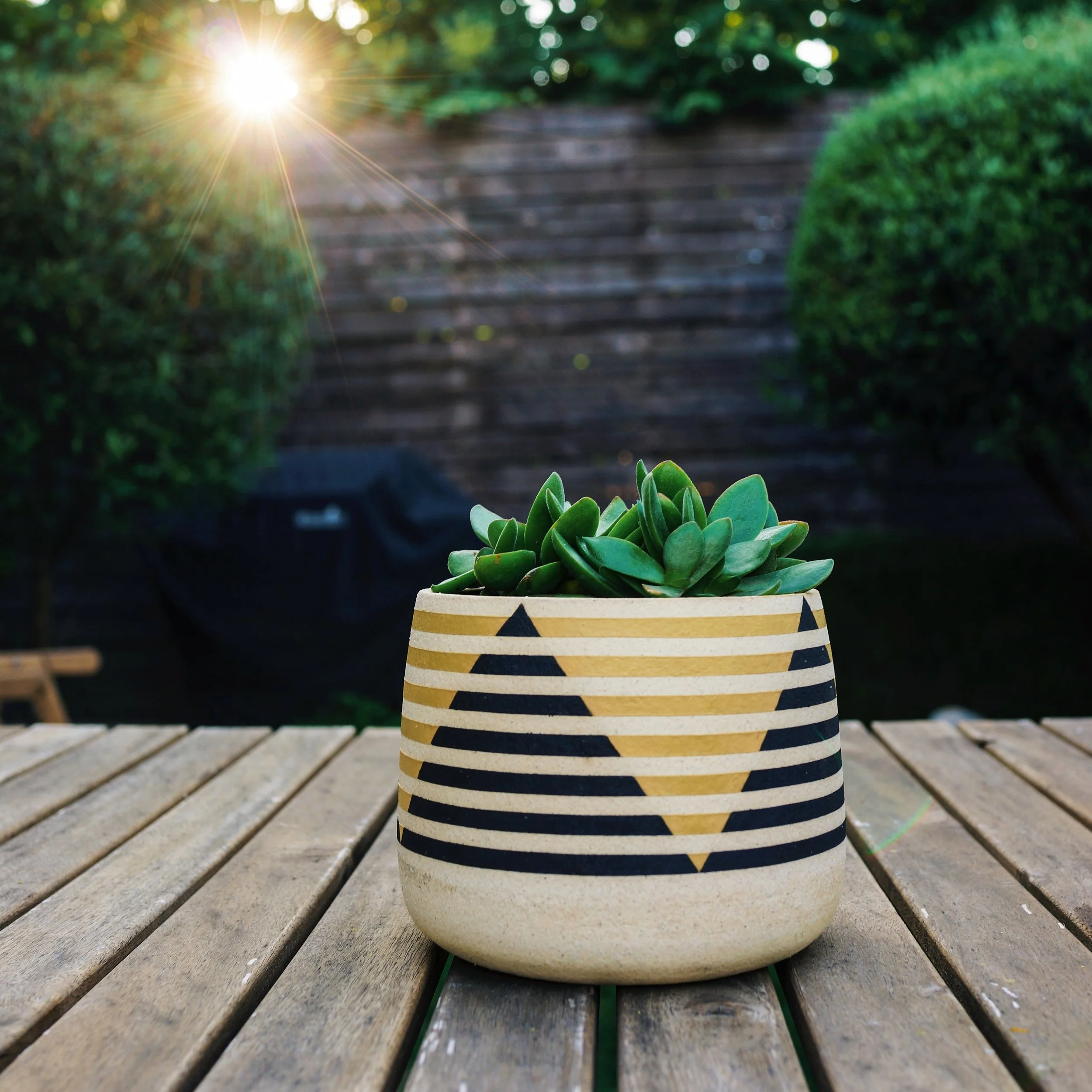 BlackandGoldPlanter .JPG