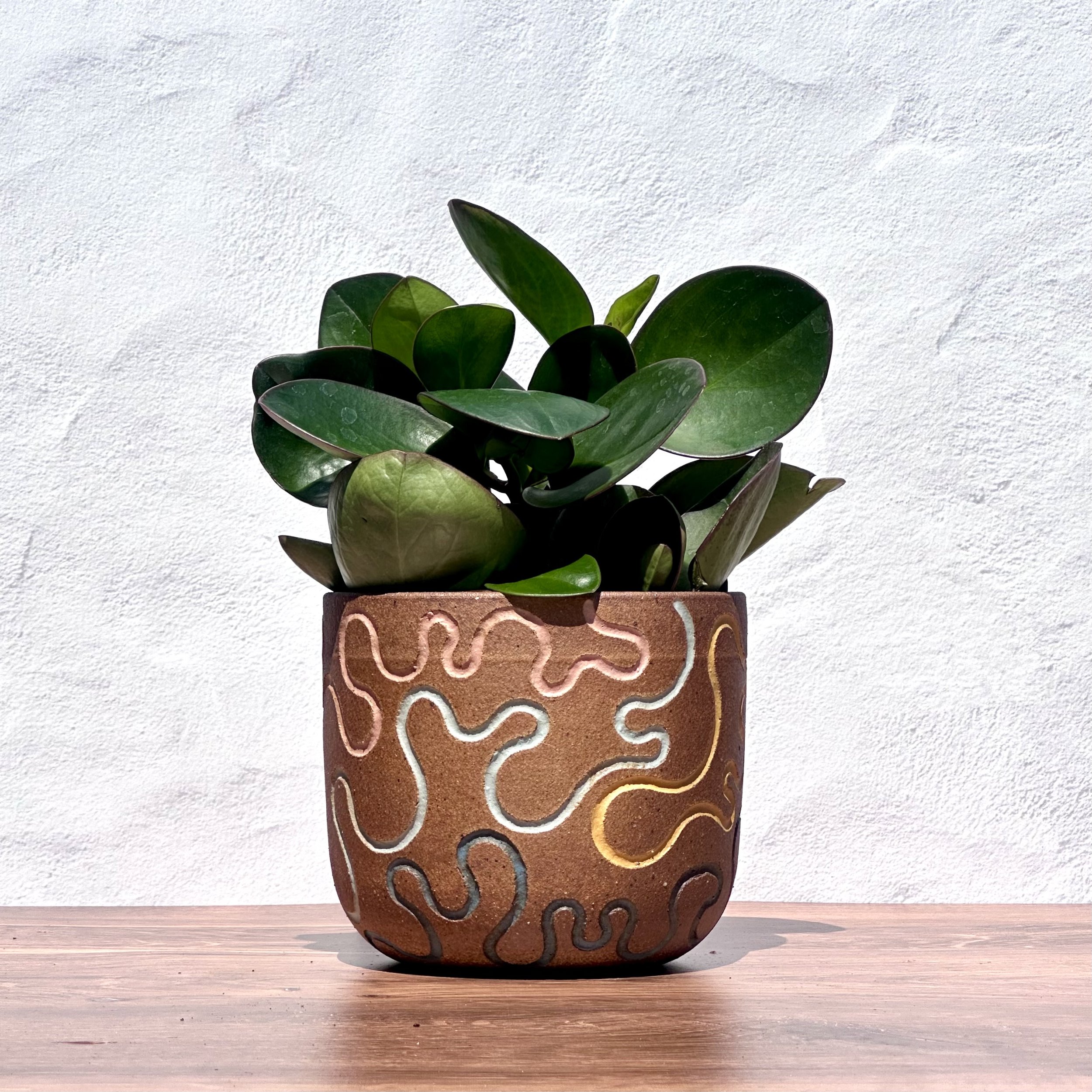Colorful Squiggle Medium Planter