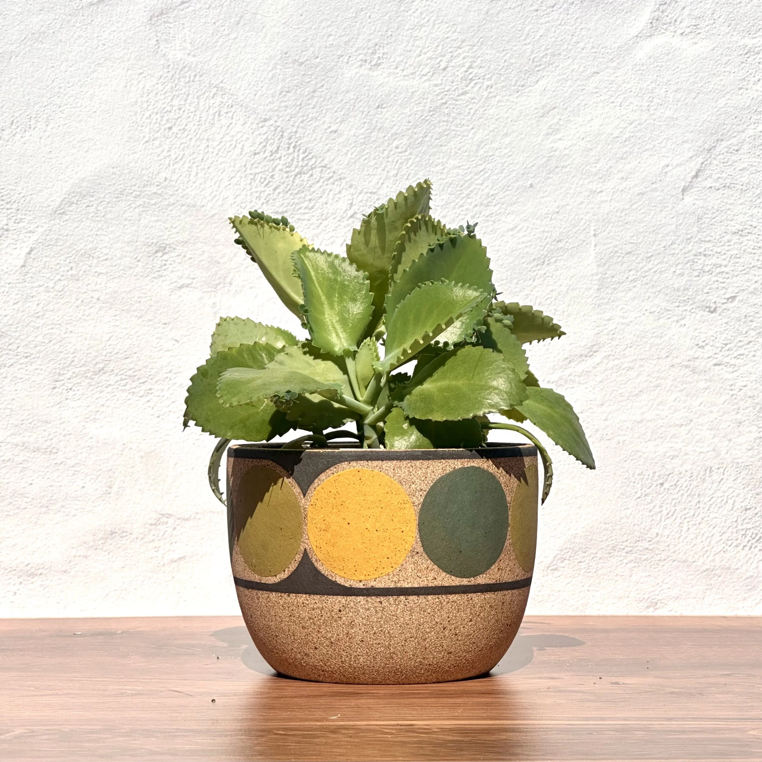 Dot Parenthesis Planter