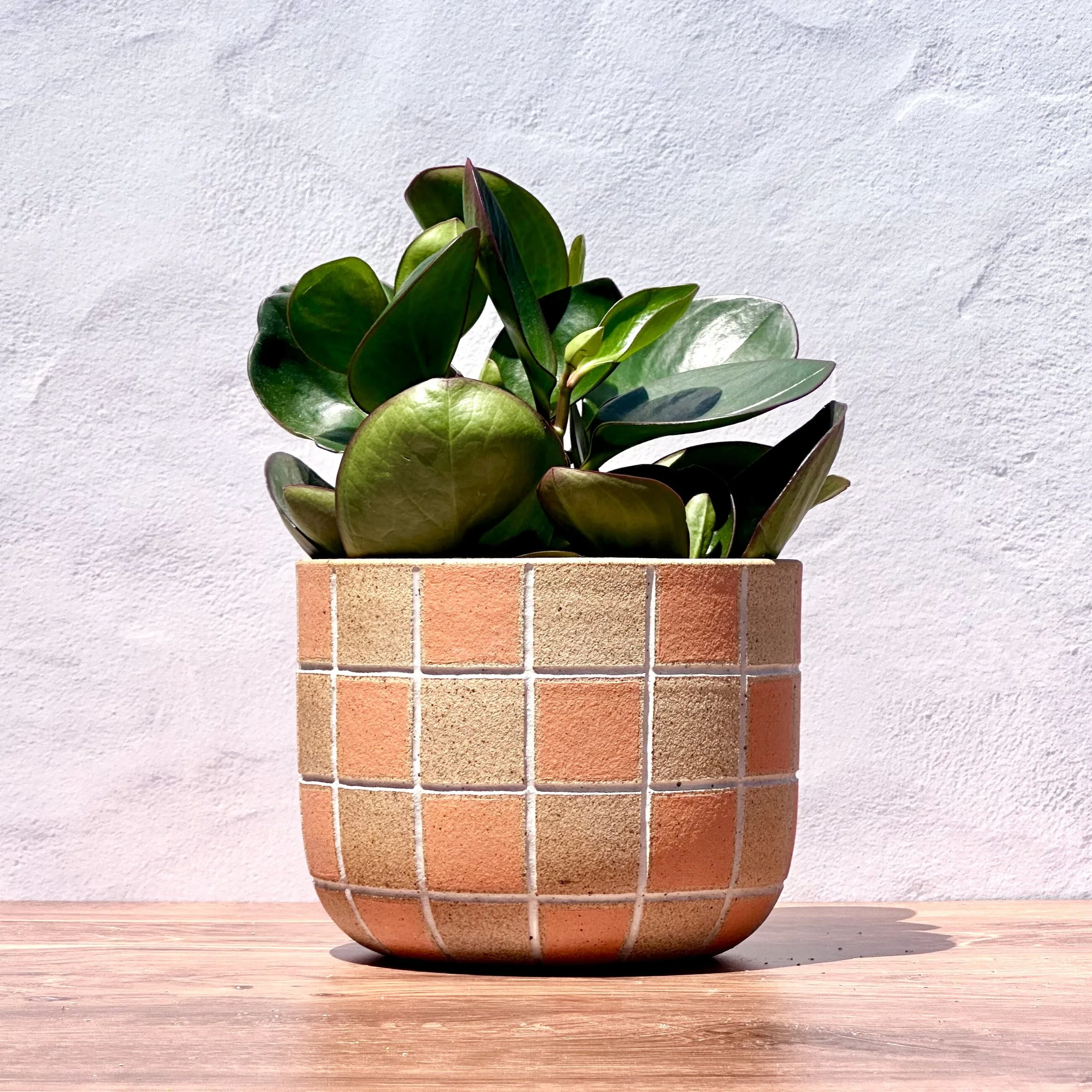 Checker Large Planter