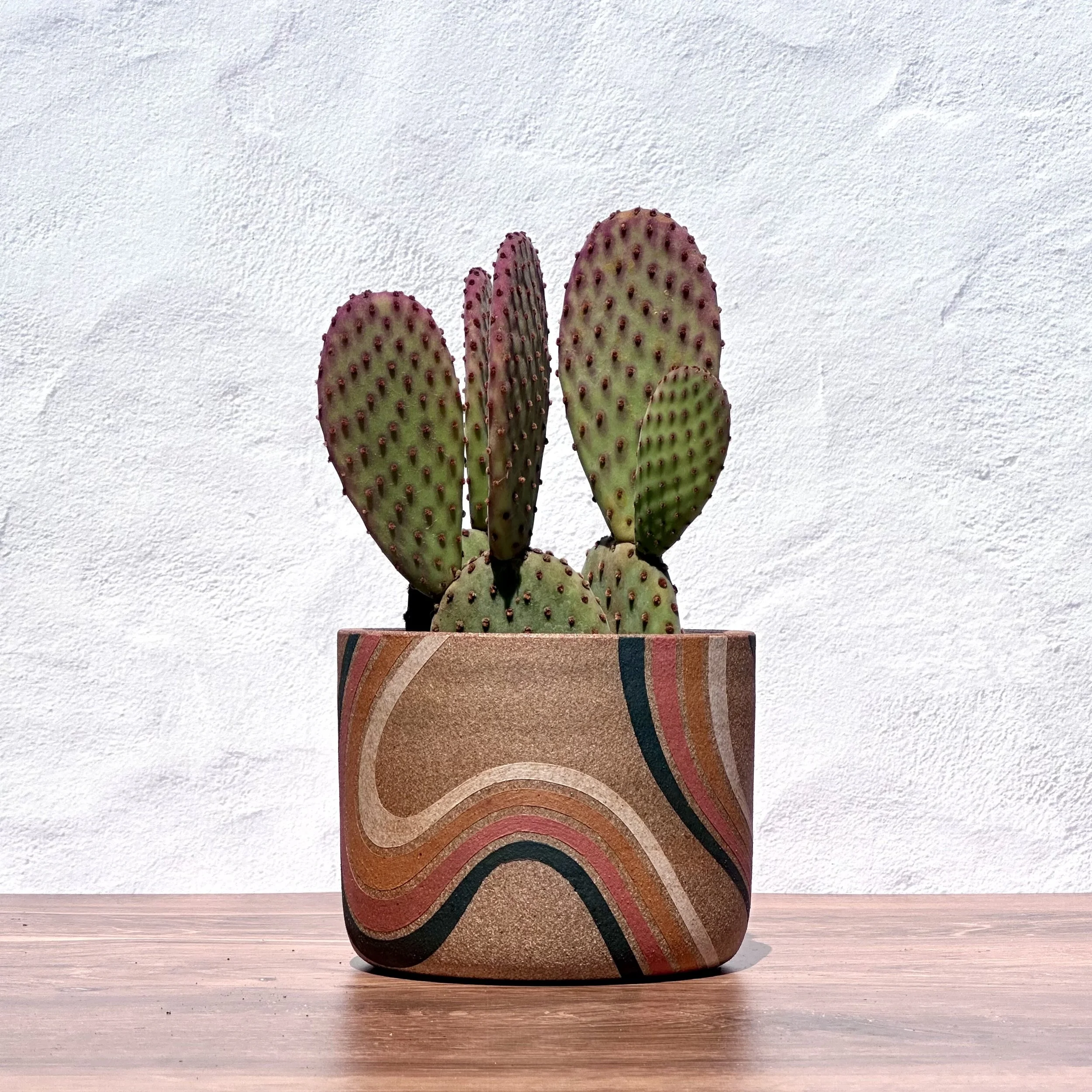 Retro Stripe Medium Planter