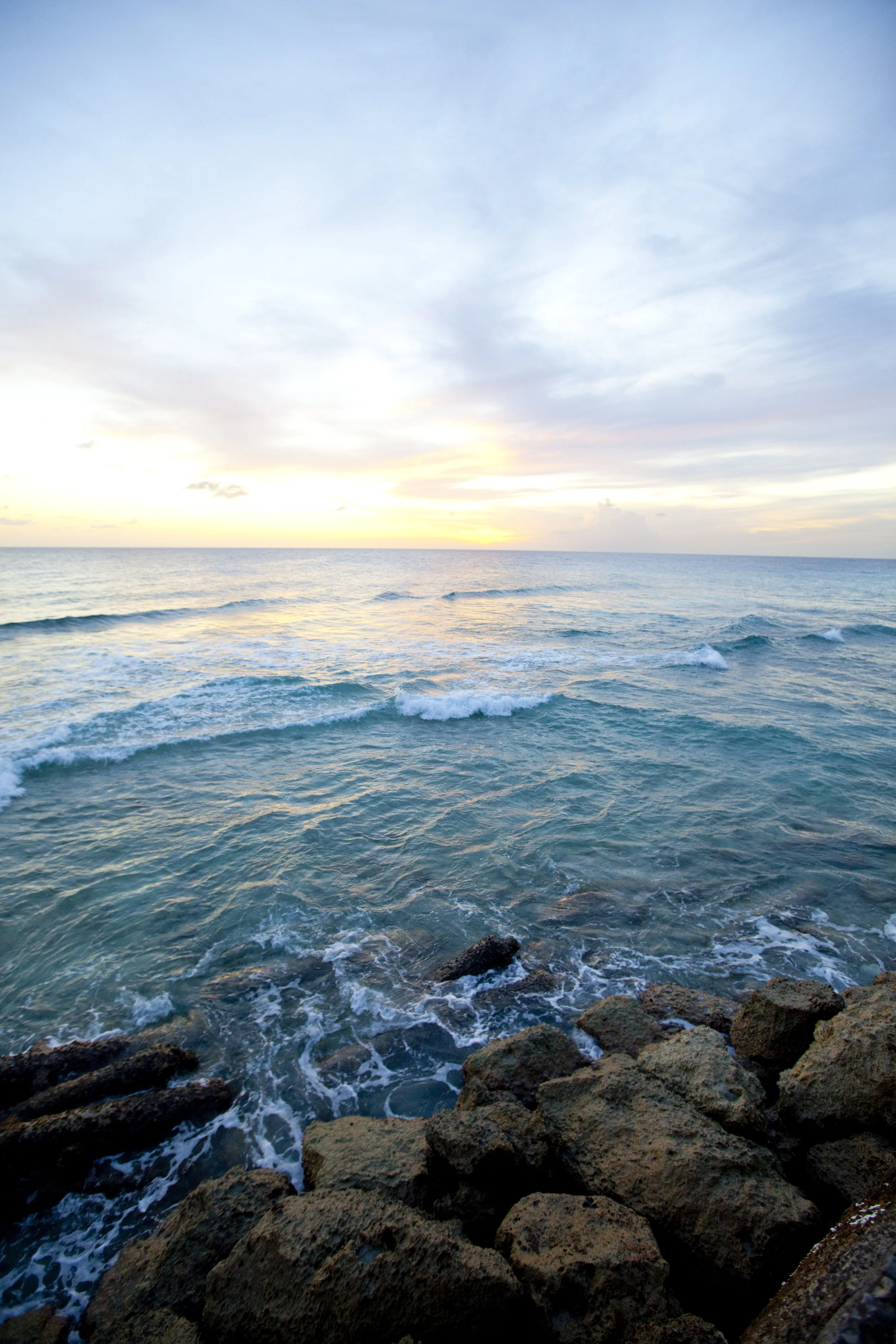 IVF #1: Successfully Unsuccessful