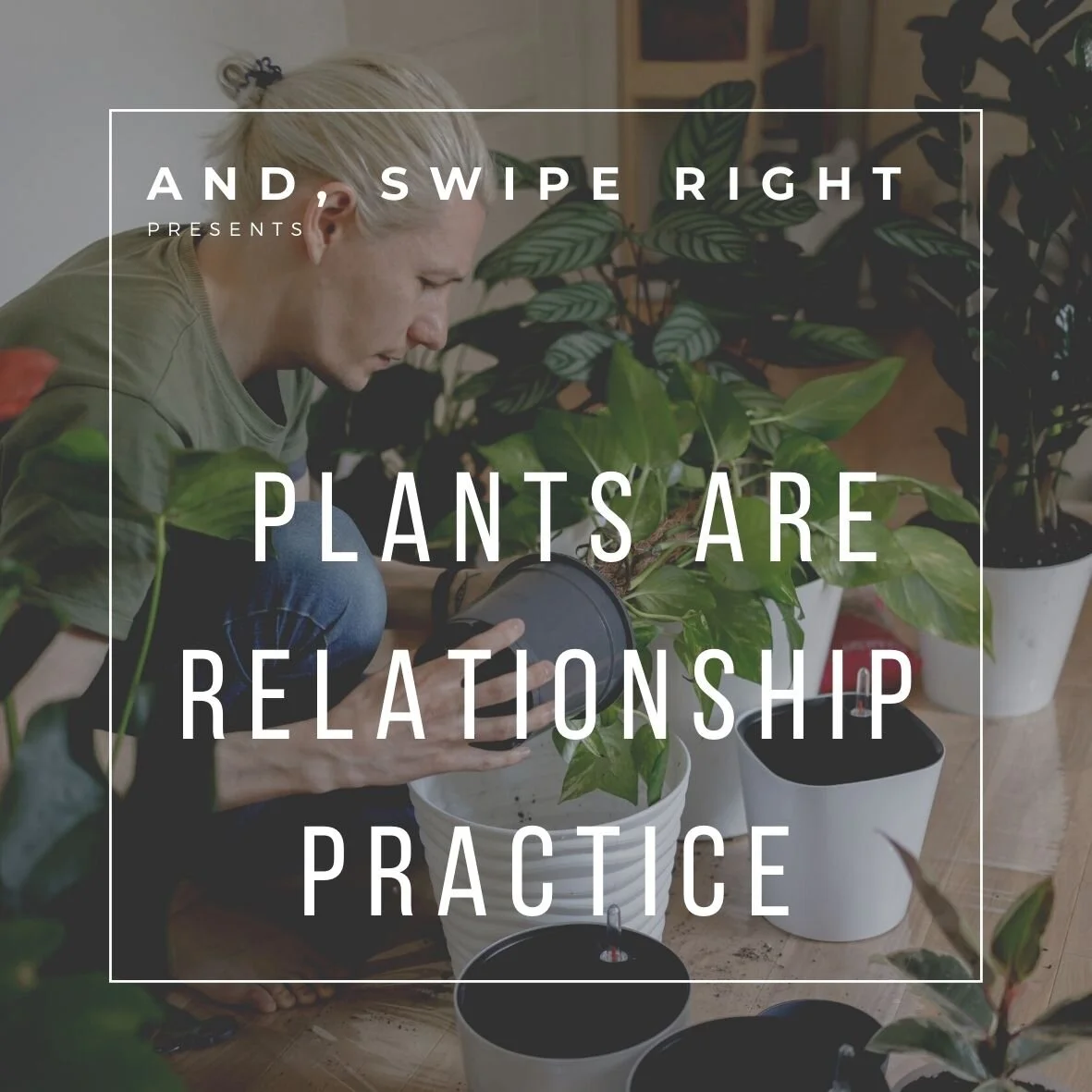 Practice Relationship Skills By Caring for Plants