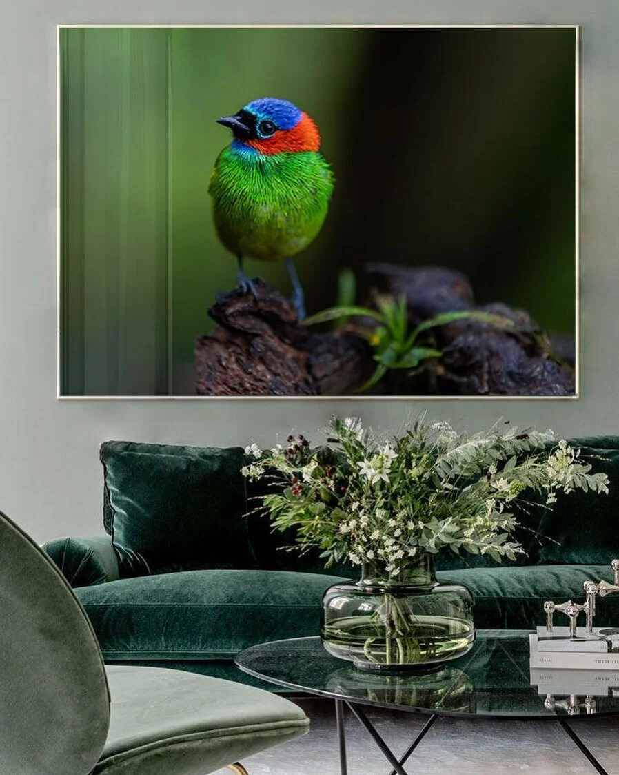 ZOISITE
Artista  CATARINA TOKATJIAN
&bull;
&Agrave; venda no site⬆️
Informa&ccedil;&otilde;es inbox➡️
&bull;
#art #brasil #timelessconceptbrasil #galeriaonline #arte #gooddesign #interieur #interiorinspiration #fotografia #fotografias&nbsp;&nbsp;#cus