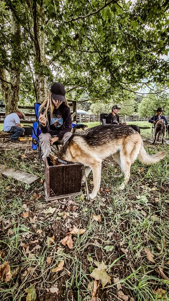 The Conservation K9 Camp — Padfoot Animal Behaviour Sunshine Coast