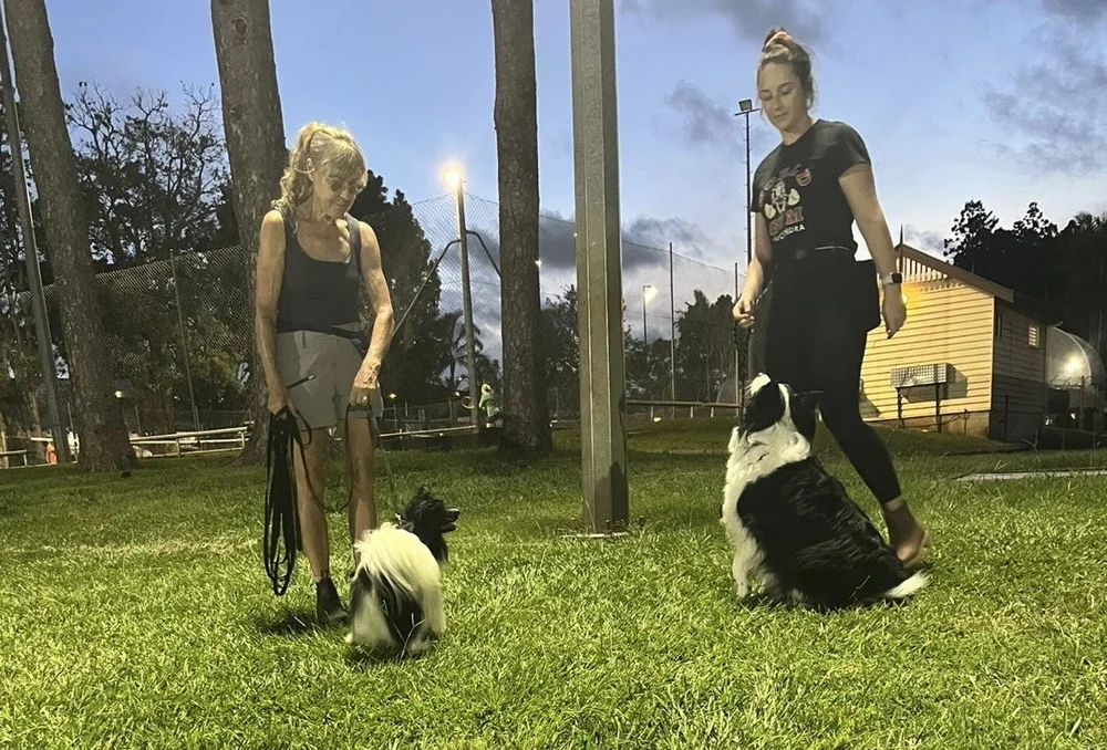 Dogs and owners practising skills outdoors