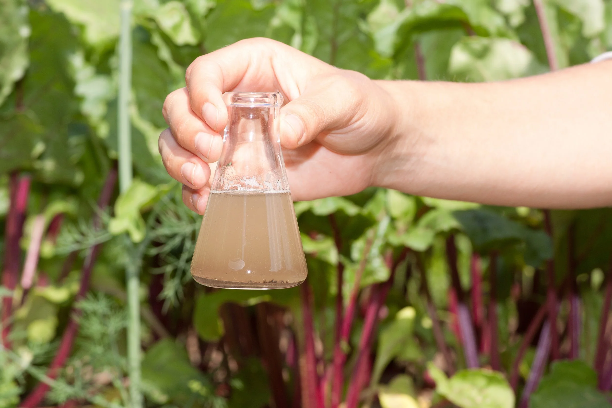 FIELD-SAMPLEshutterstock_151193672.jpg