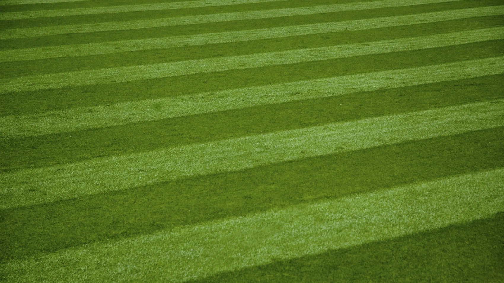 iStock_000003739592Medium_Crop_2.jpg