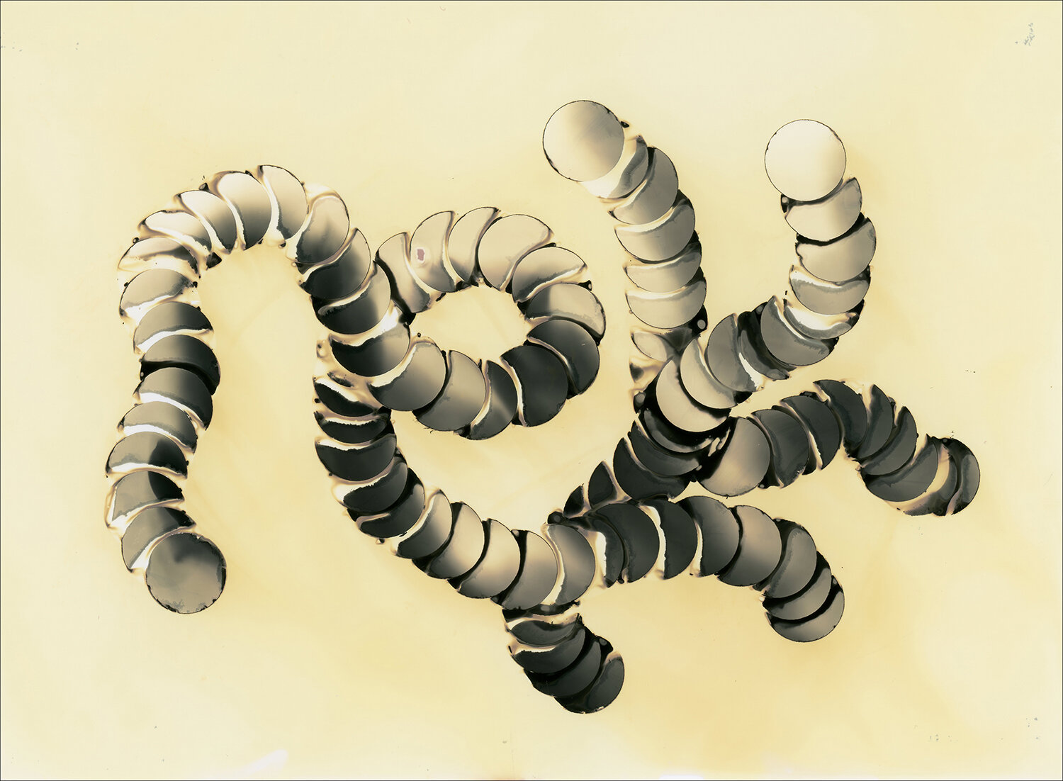 NTRL (13).jpg