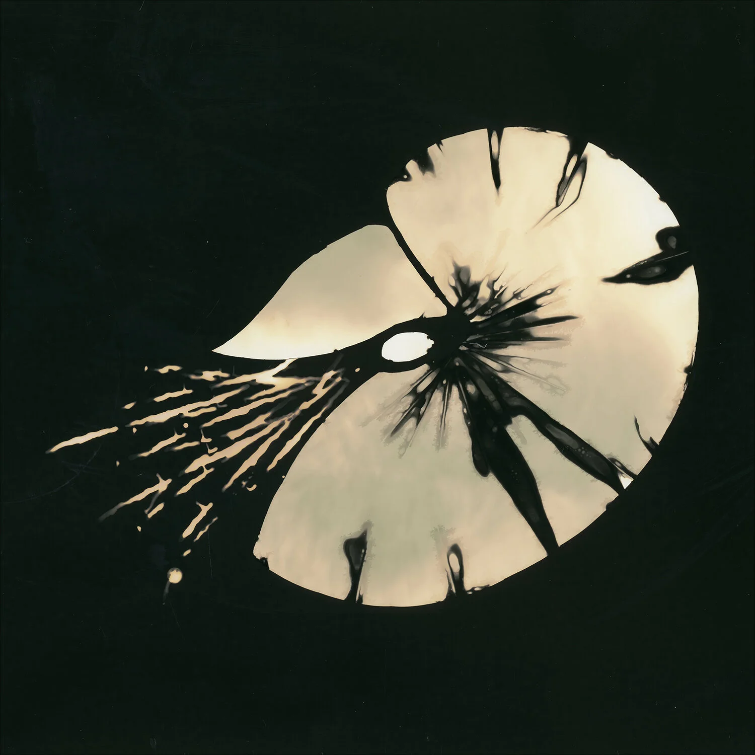 NTRL (14).jpg