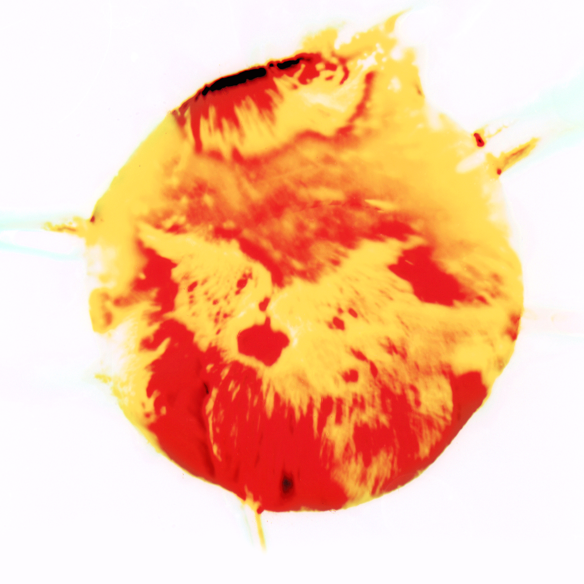sun2.gif