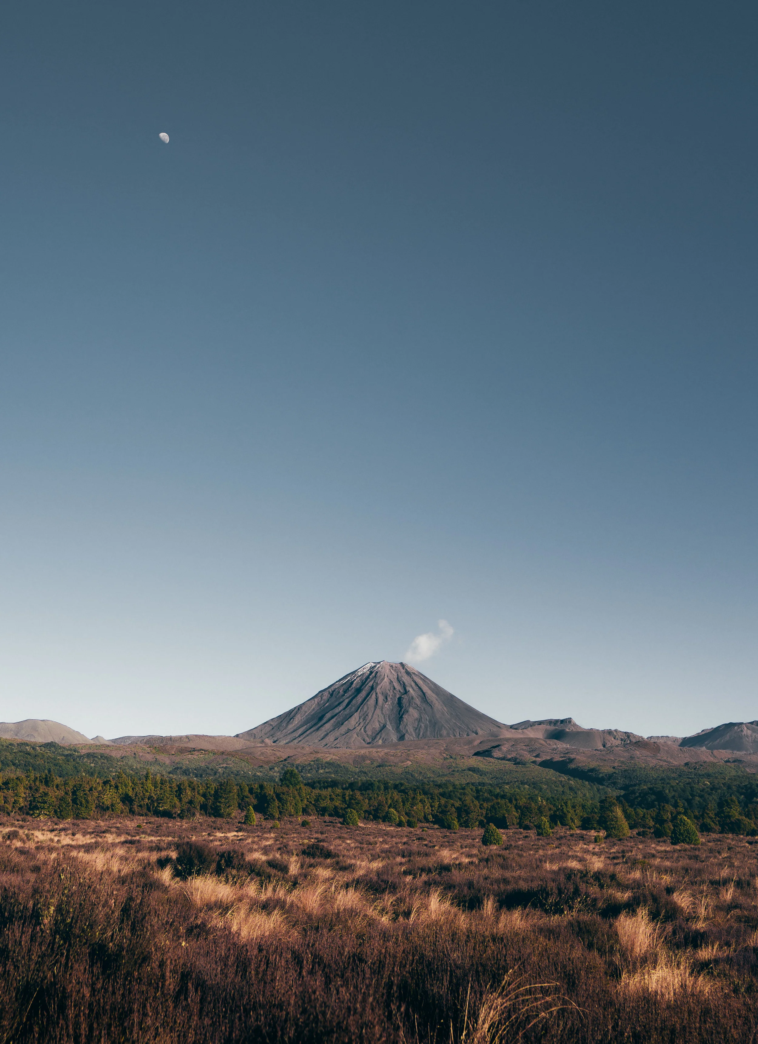 Taupo-to-Waitomo-7.jpg