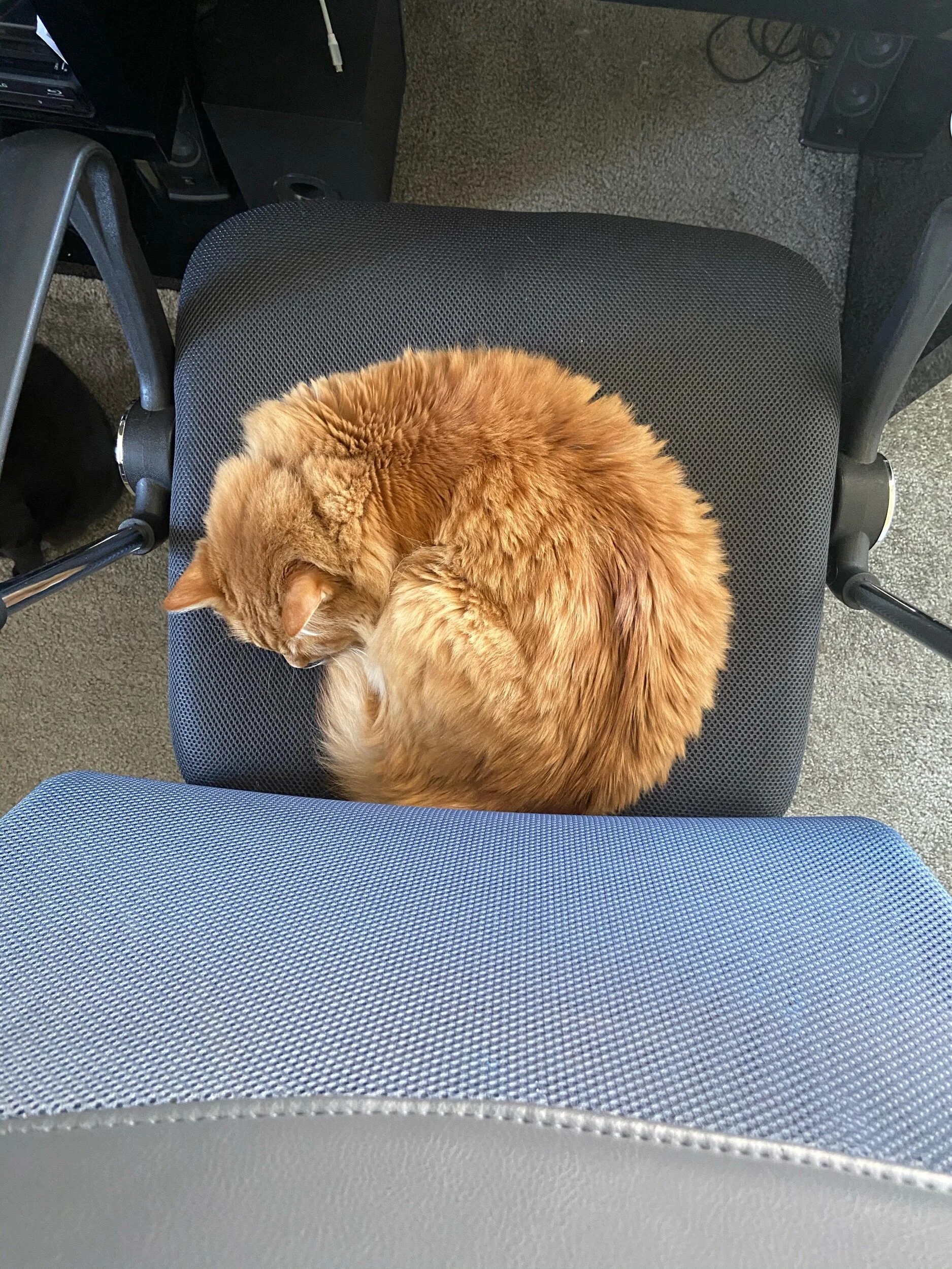 Bad Movies: Directed Rage