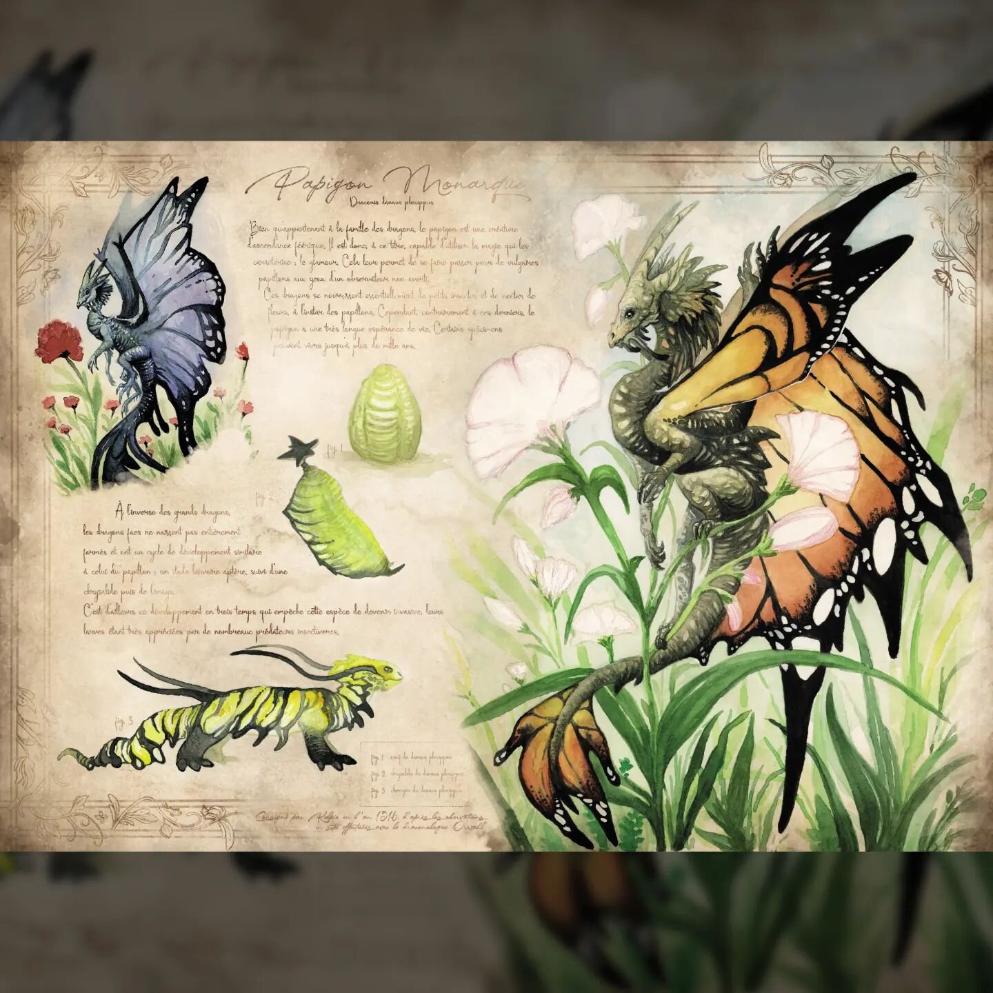 🦋monarch🦋
🇨🇵 Je reprends enfin la mise en page de mon bestiaire qui sortira &agrave; la fin de l'ann&eacute;e, j'ai h&acirc;te !
🇬🇧 It's time to go back to the layout for my bestiary that will be edited later this year (in French, the English v