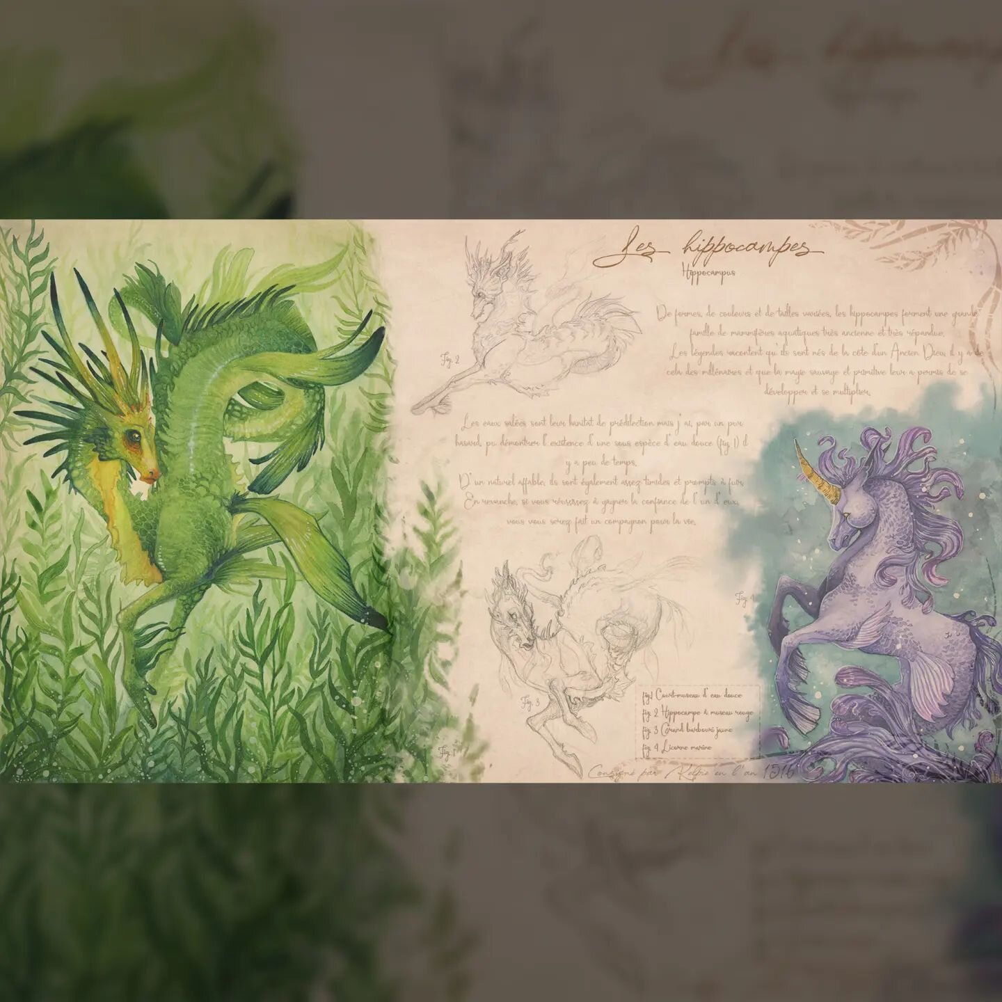 🌿Hippocampus🌿
🇨🇵 Je crois qu'il n'existe rien qui me fasse plus kiffer que de cr&eacute;er ces planches, en imaginant les habitats et habitudes de mes b&eacute;b&ecirc;tes!
🇬🇧 There's nothing that I love more than creating the backstories of my