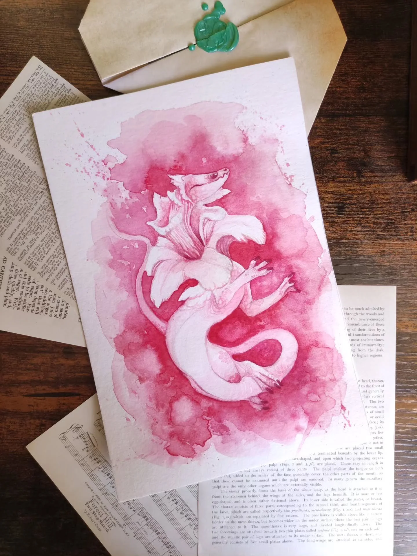 It's throwback Thursday time! 
🍄Miranda podoserpula 
📜Fun fact! I don't like eating mushrooms but I love finding some and taking amazing pictures of them in the forest! And fall is the best season to do so 🍂 

🗝️ mushroom, champignon, dragon, cha