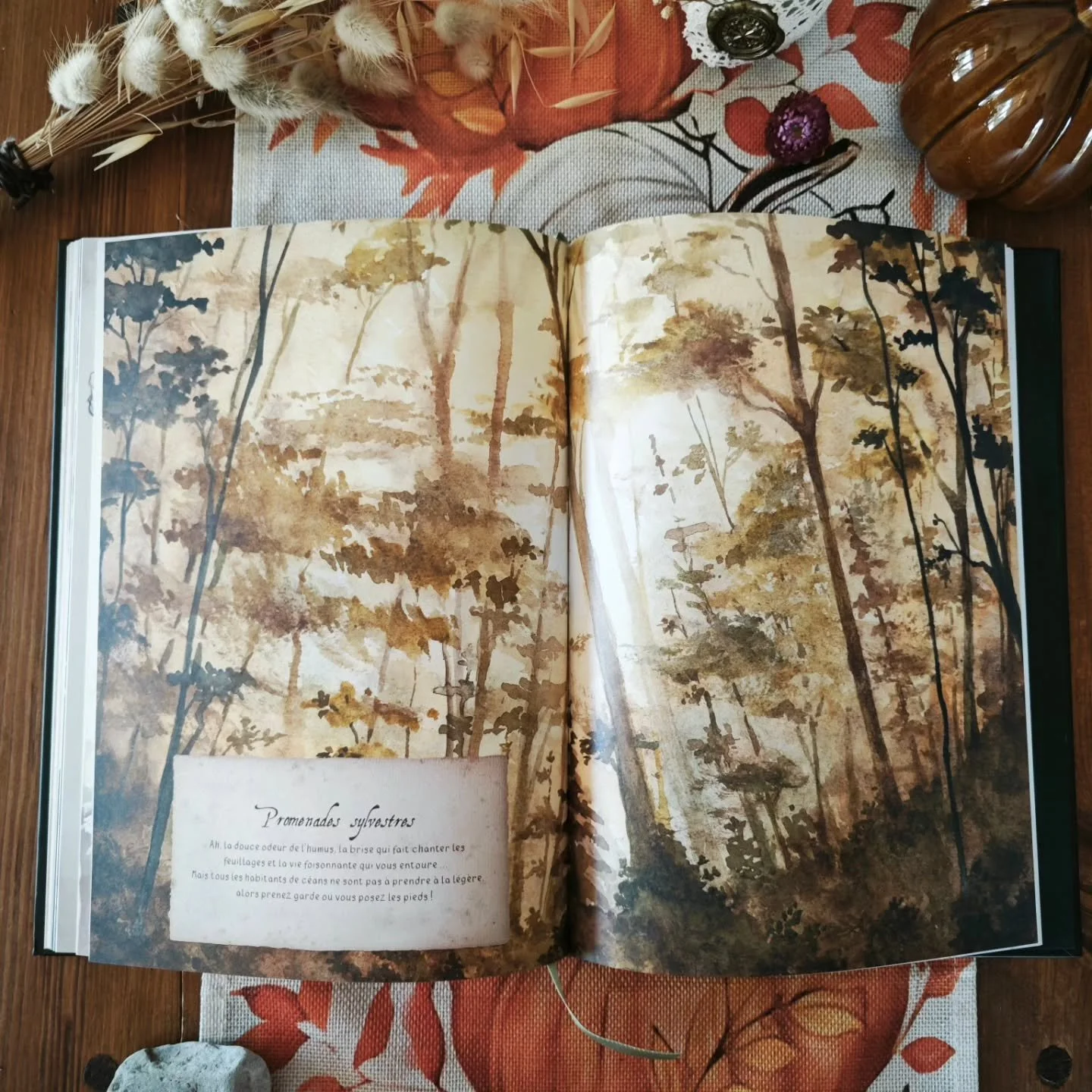 📜Venez &agrave; la rencontre des cr&eacute;atures fantastiques qui peuplent les contr&eacute;es de Lalda&euml;sia aux c&ocirc;t&eacute;s de Kelpie et de son mentor, le draconologue Orwhal. 
Pour cette r&eacute;&eacute;dition de Creaturae, rien ne ch