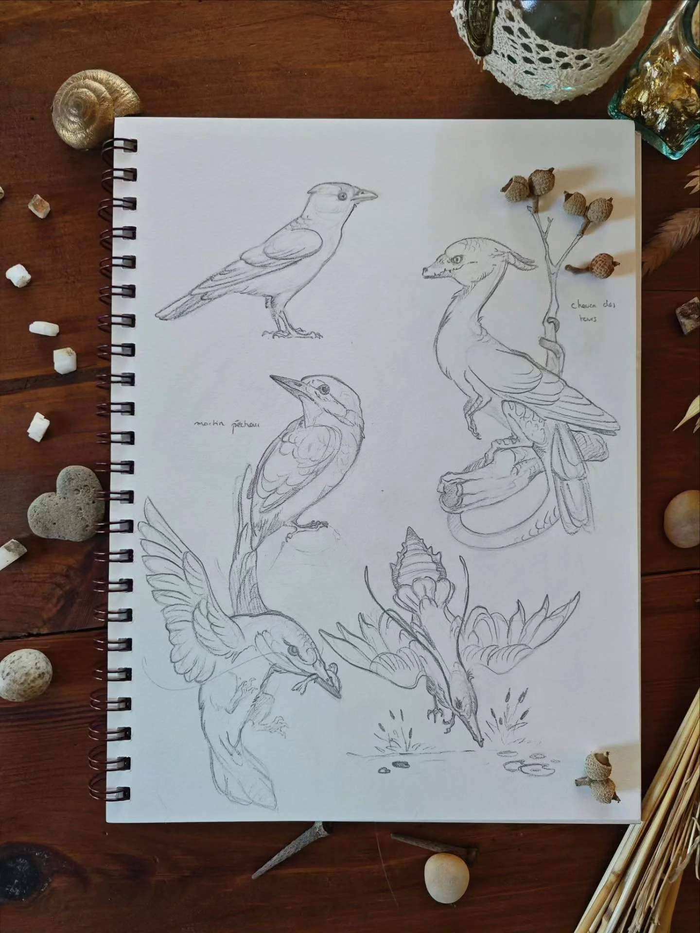 🐦J'ai pas mal sketch&eacute; ces derniers temps mais je n'ai pas pris le temps de les poster ici alors pr&eacute;parez vous &agrave; en voir un paquet dans les jours &agrave; venir !

🐦&zwj;⬛I have been sketching a lot recently and just forgot to p