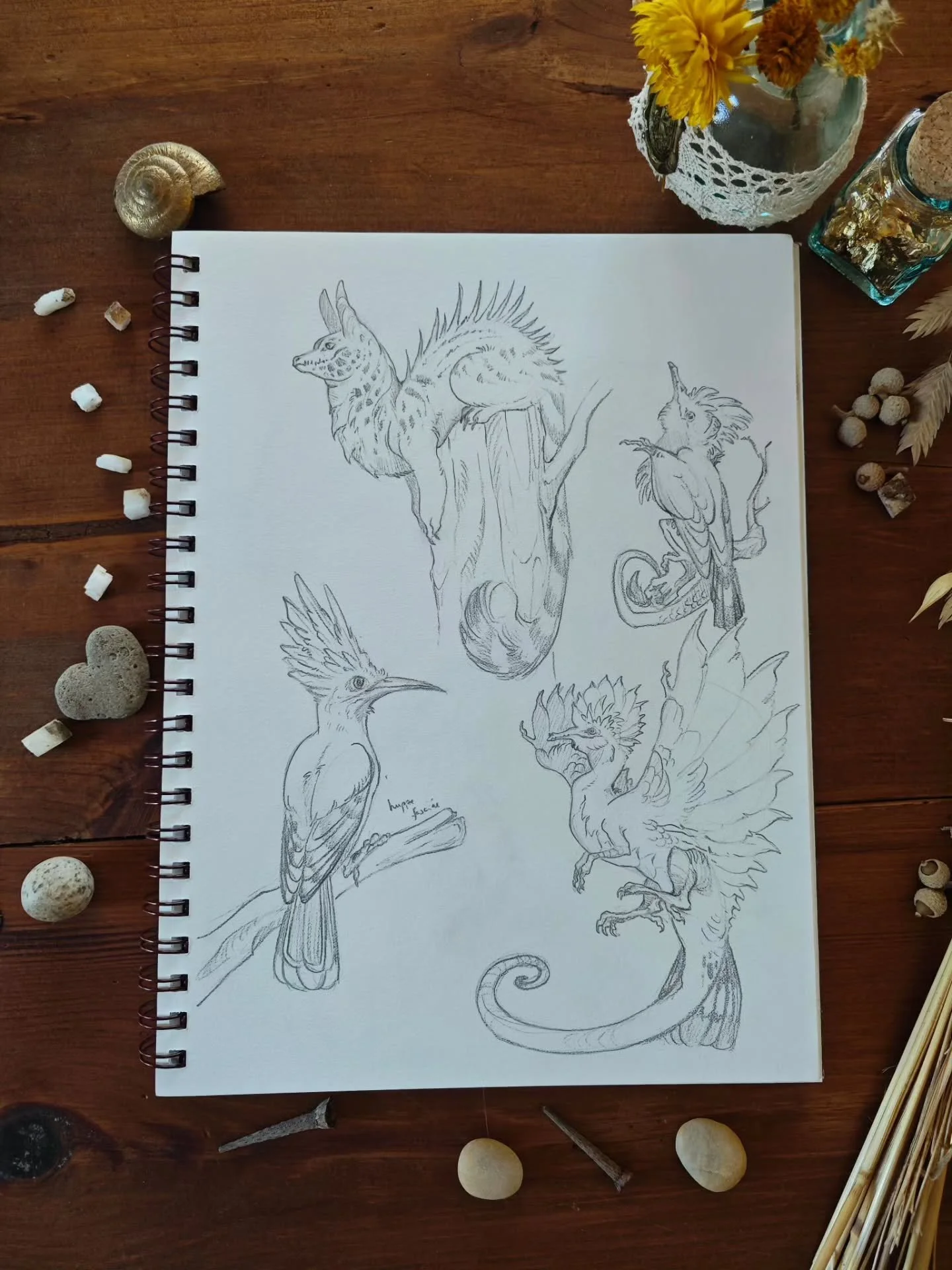 📜 Ma version pr&eacute;f&eacute;r&eacute;e de la genette draconique et quelques petits sketches de la huppe fasci&eacute;e, un oiseau assez impressionnant qu'on voit beaucoup plus ces derni&egrave;res ann&eacute;es par chez nous !

🗝️Sketch, bird, 