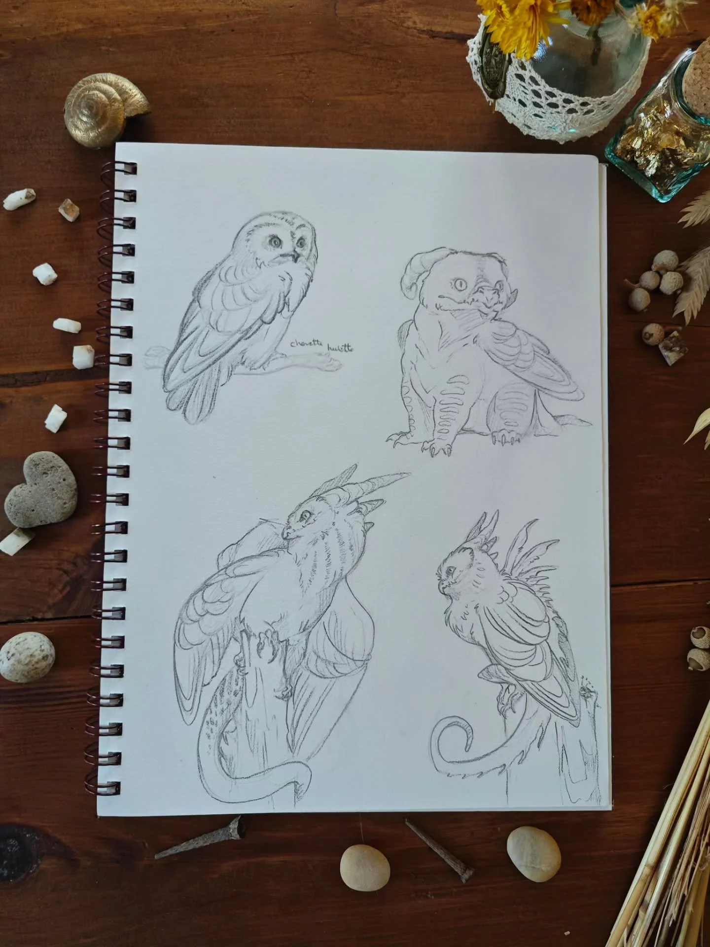📜On commence l'ann&eacute;e avec une nouvelle vague de sketches ! Cette fois, c'est la chouette hulotte qui est &agrave; l'honneur. 

🗝️Sketch, sketchbook, bird, owl
#creatureart #dragonart #chouette #creatuanary #sketchbook