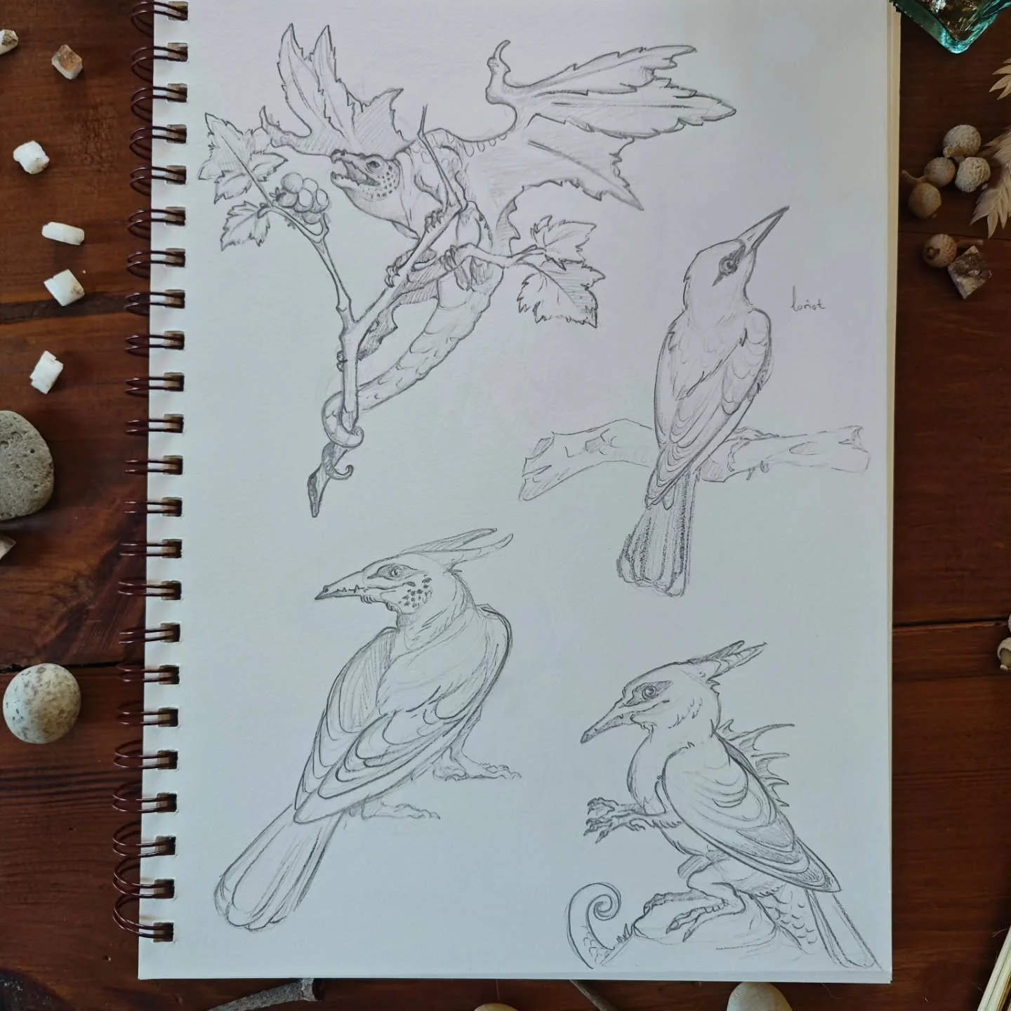 Il me reste encore quelques uns des sketches de cet automne &agrave; vous montrer, alors je profite de ce retour de festival pour le faire ! On reprend o&ugrave; on s'&eacute;tait arr&ecirc;t&eacute; avec le dragon du groseillier et celui inspir&eacu