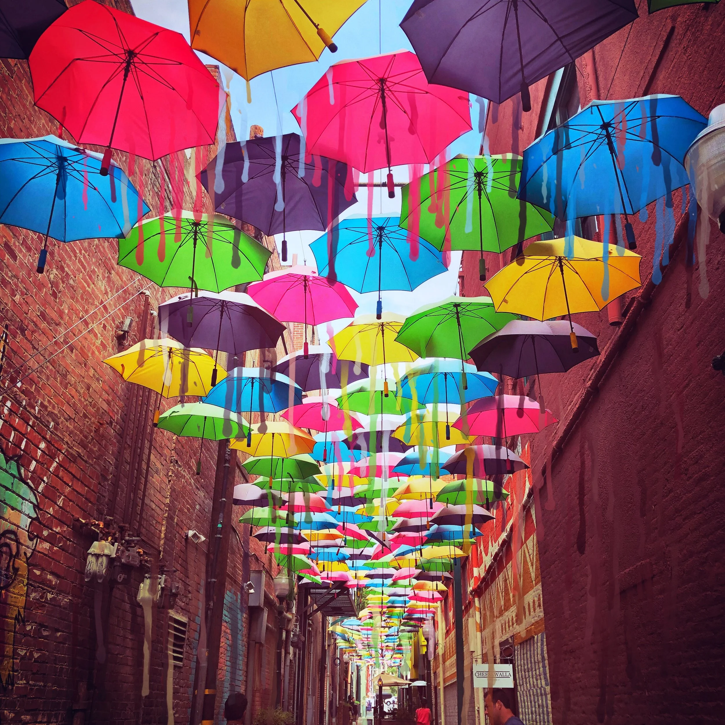 Rainfall