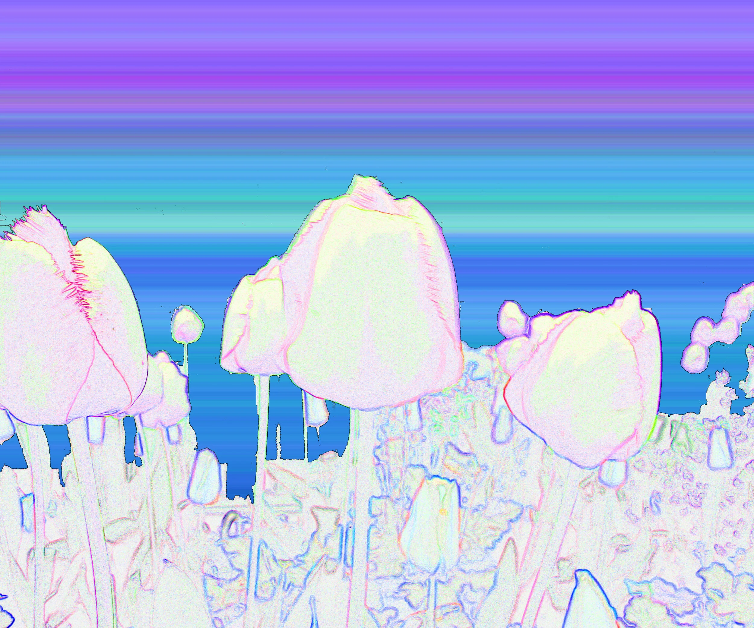 "Reach"