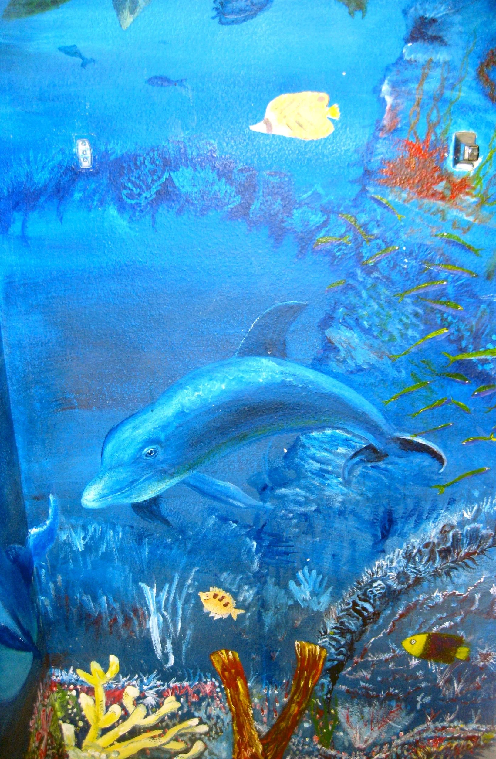 aquarium+073.jpg