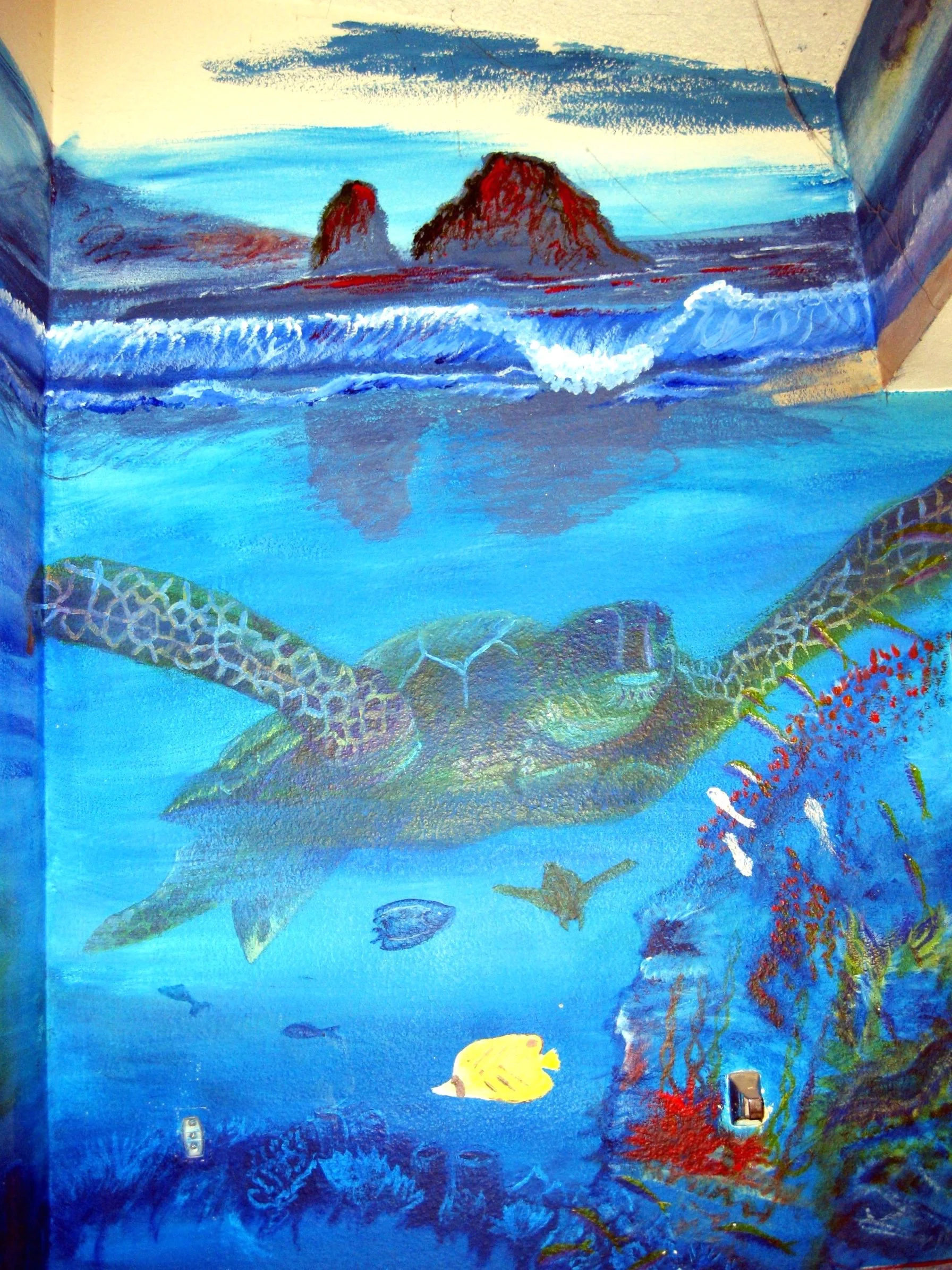 aquarium+071.jpg