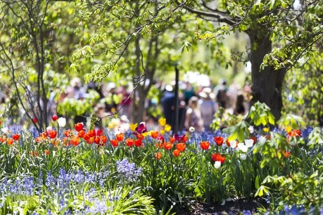 Floriade (Custom).jpg