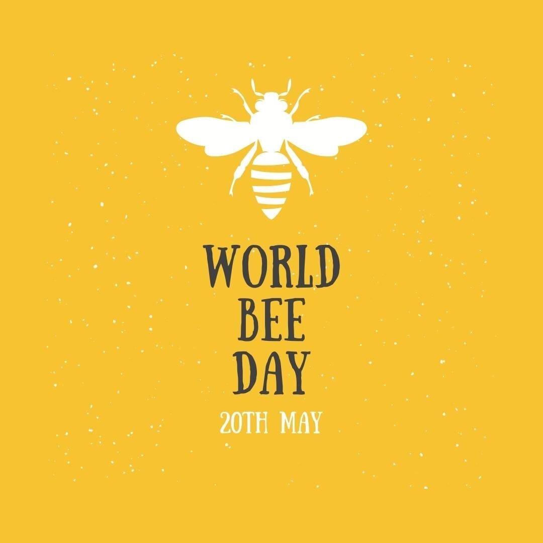 oday is World Bee Day 🐝

I always love leaning about how about how we can help our bee population thrive.

https://www.worldbeeday.org/en/